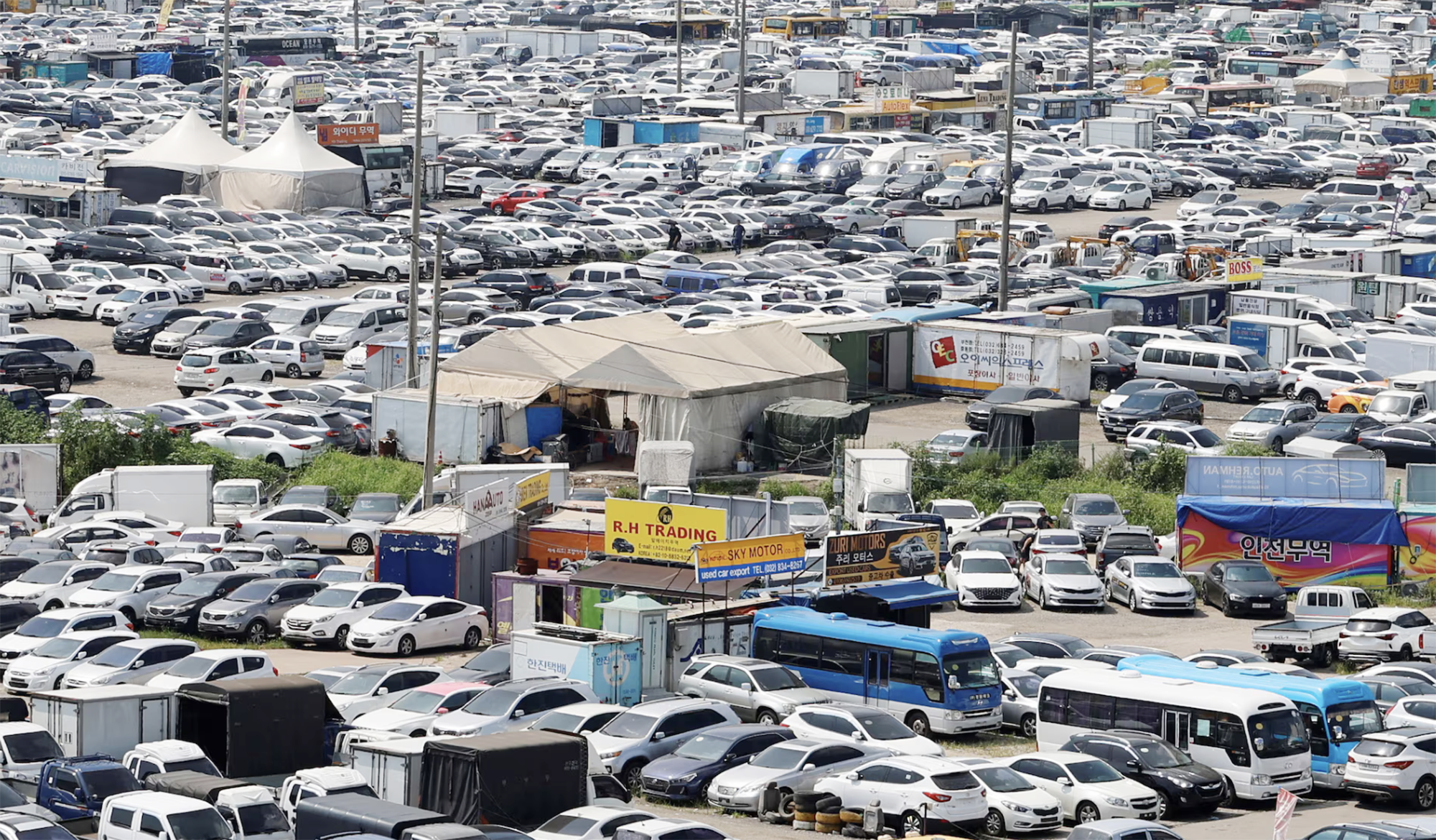 B&ugrave;ng nổ xuất khẩu &ocirc; t&ocirc; cũ tại H&agrave;n Quốc - Ảnh 1.