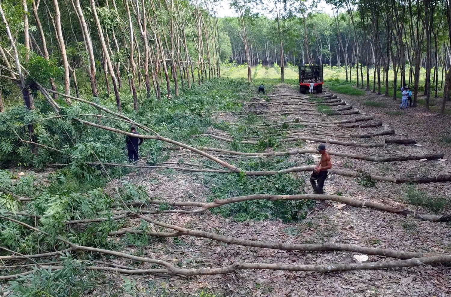 Đồng Nai ph&aacute;t động &ldquo;chiến dịch Quang Trung&rdquo;, thần tốc GPMB cao tốc Bắc - Nam ph&iacute;a T&acirc;y- Ảnh 1.