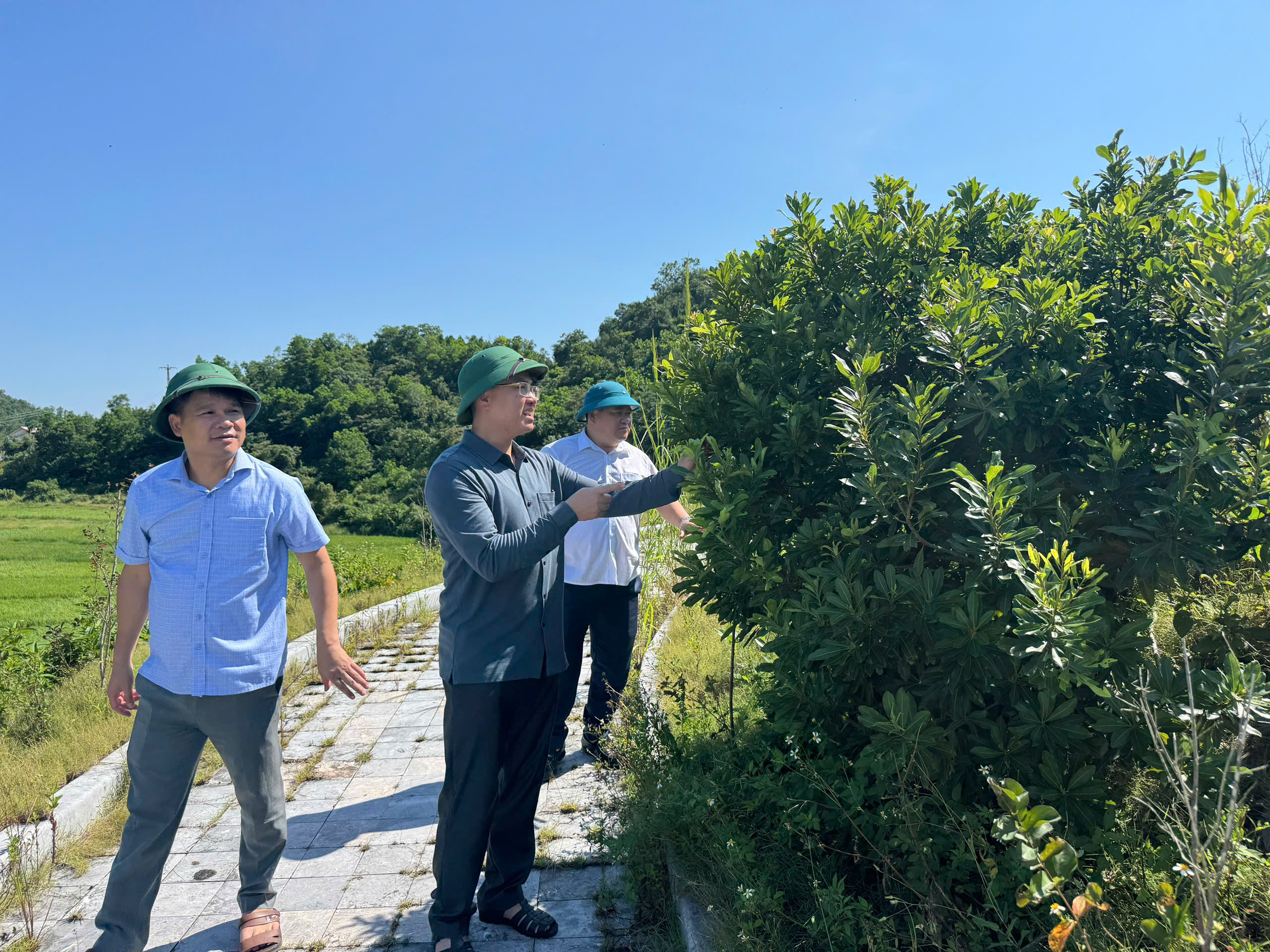 Cái Chiên: Đột phá từ du lịch, hướng tới kinh tế biển và không gian sống xanh- Ảnh 5. Cái Chiên: Đột phá từ du lịch, hướng tới kinh tế biển và không gian sống xanh- Ảnh 5.