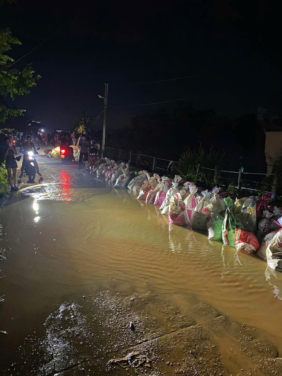H&agrave;ng ngh&igrave;n người trắng đ&ecirc;m hộ đ&ecirc;, chống lũ tại Bắc Ninh- Ảnh 5.