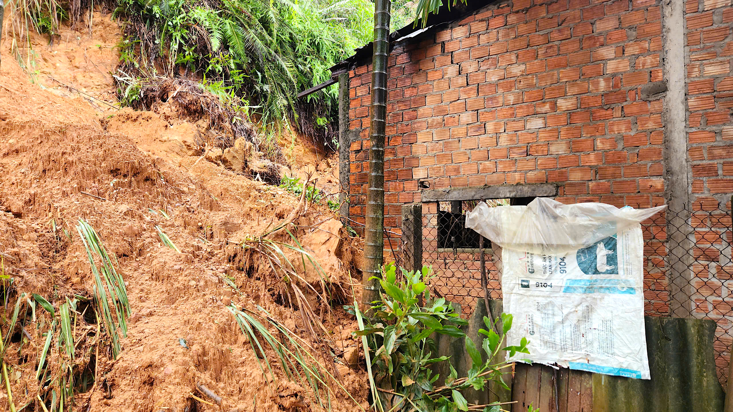 Quả đồi sạt lở "tấn c&ocirc;ng" nh&agrave; d&acirc;n, uy hiếp an to&agrave;n quốc lộ qua Quảng Ng&atilde;i- Ảnh 3.