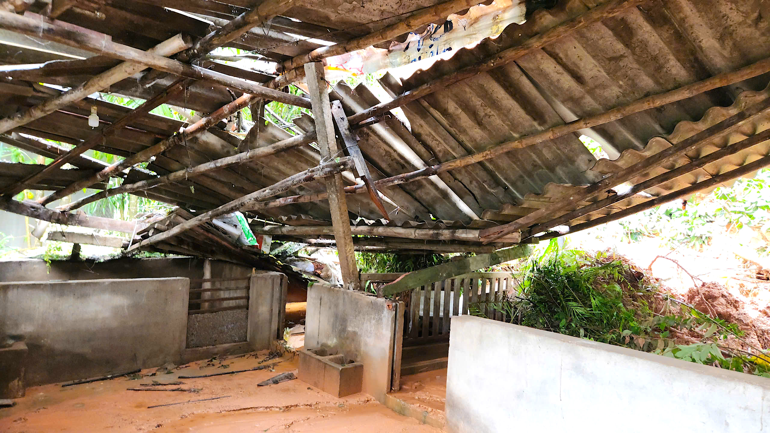 Quả đồi sạt lở "tấn c&ocirc;ng" nh&agrave; d&acirc;n, uy hiếp an to&agrave;n quốc lộ qua Quảng Ng&atilde;i- Ảnh 5.