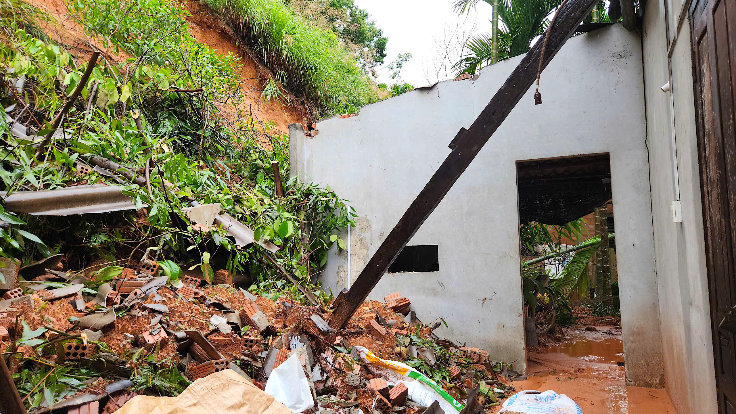 Quả đồi sạt lở "tấn c&ocirc;ng" nh&agrave; d&acirc;n, uy hiếp an to&agrave;n quốc lộ qua Quảng Ng&atilde;i- Ảnh 6.