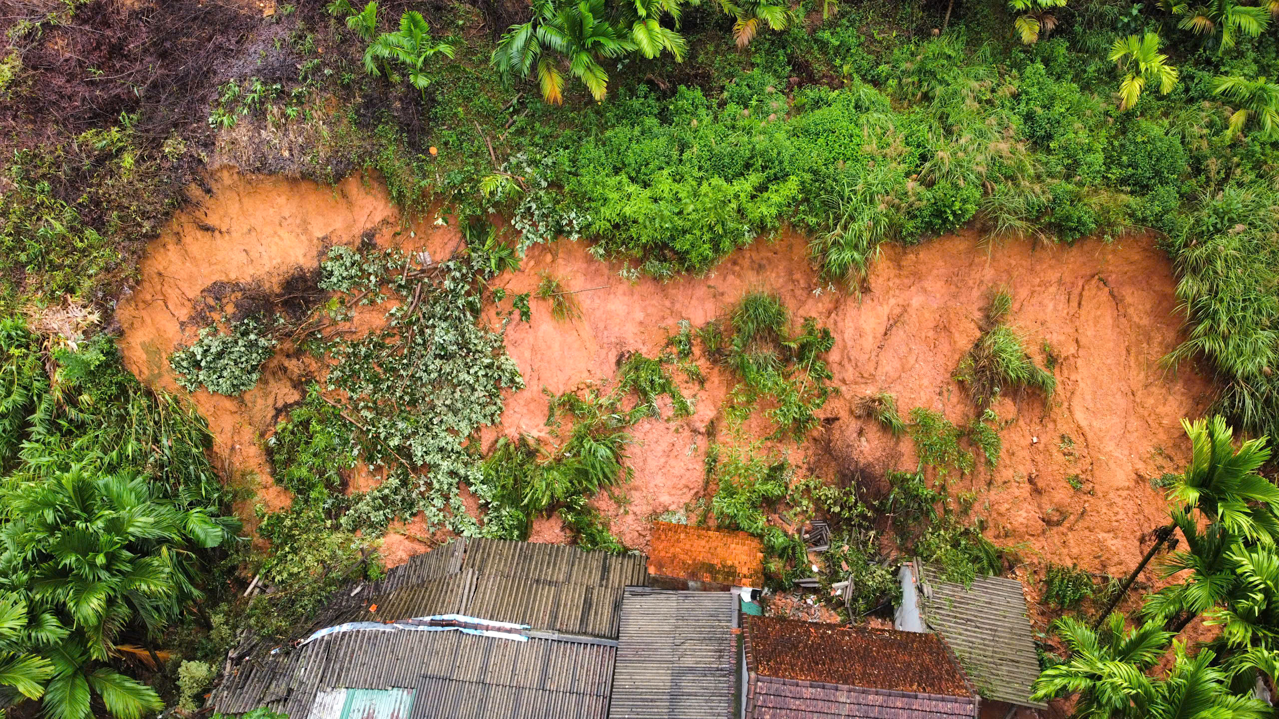 Quả đồi sạt lở "tấn c&ocirc;ng" nh&agrave; d&acirc;n, uy hiếp an to&agrave;n quốc lộ qua Quảng Ng&atilde;i- Ảnh 1.