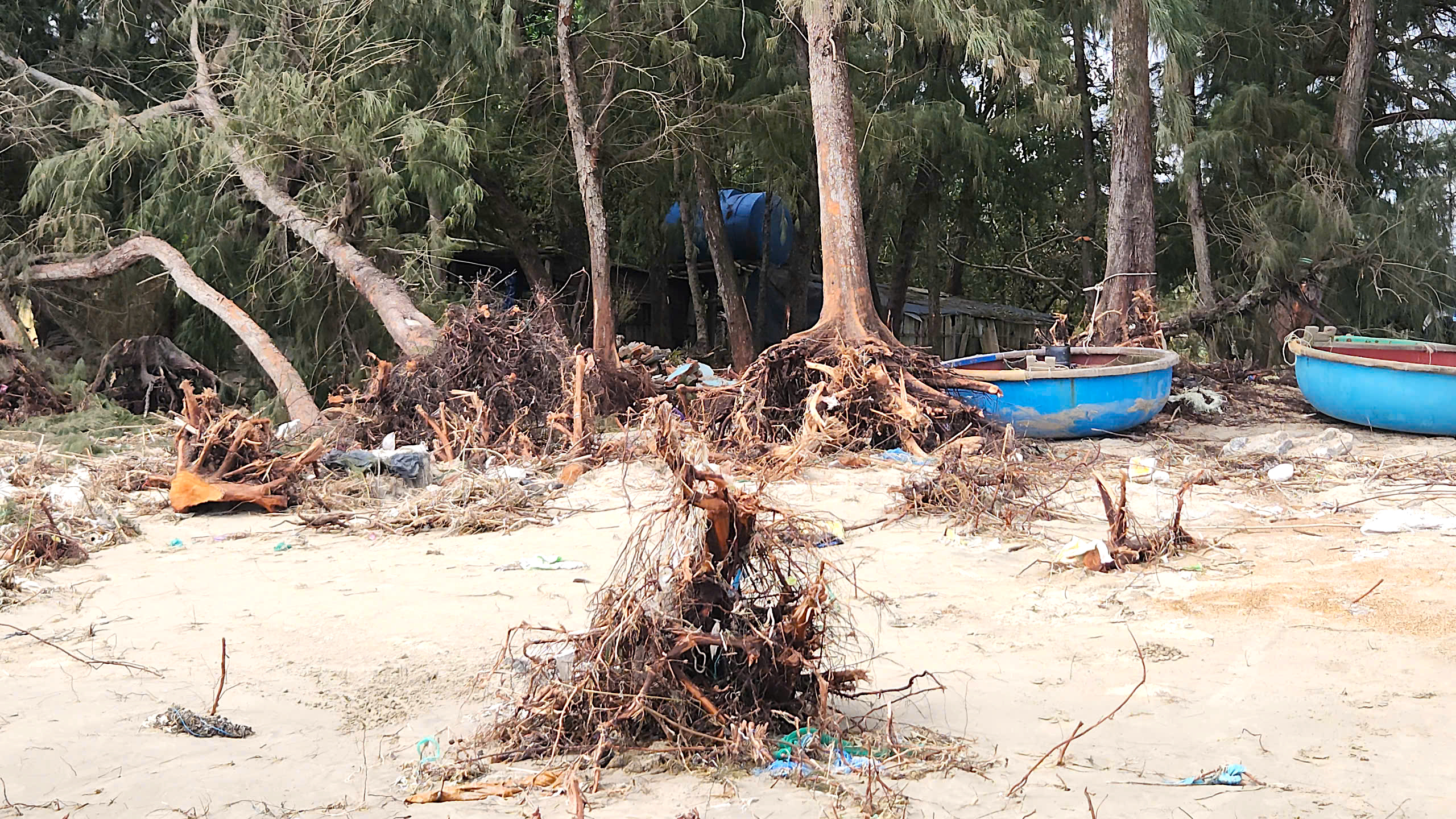 K&egrave; biển gi&uacute;p người d&acirc;n Quảng Ng&atilde;i chống chọi với những con s&oacute;ng dữ- Ảnh 10.