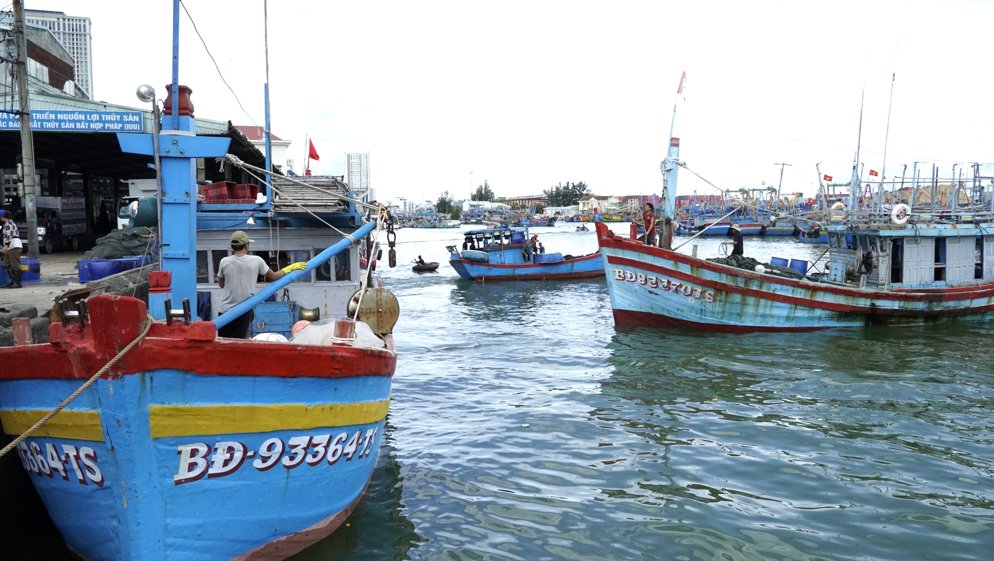 Sau b&atilde;o dữ, ngư d&acirc;n Gia Lai trở lại vươn khơi b&aacute;m biển- Ảnh 13.