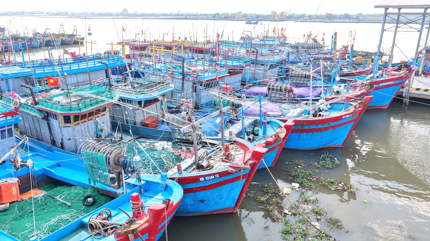 Ninh B&igrave;nh: Tăng cường quản l&yacute; đăng k&yacute;, đăng kiểm t&agrave;u c&aacute; minh bạch, đ&uacute;ng quy định- Ảnh 1.