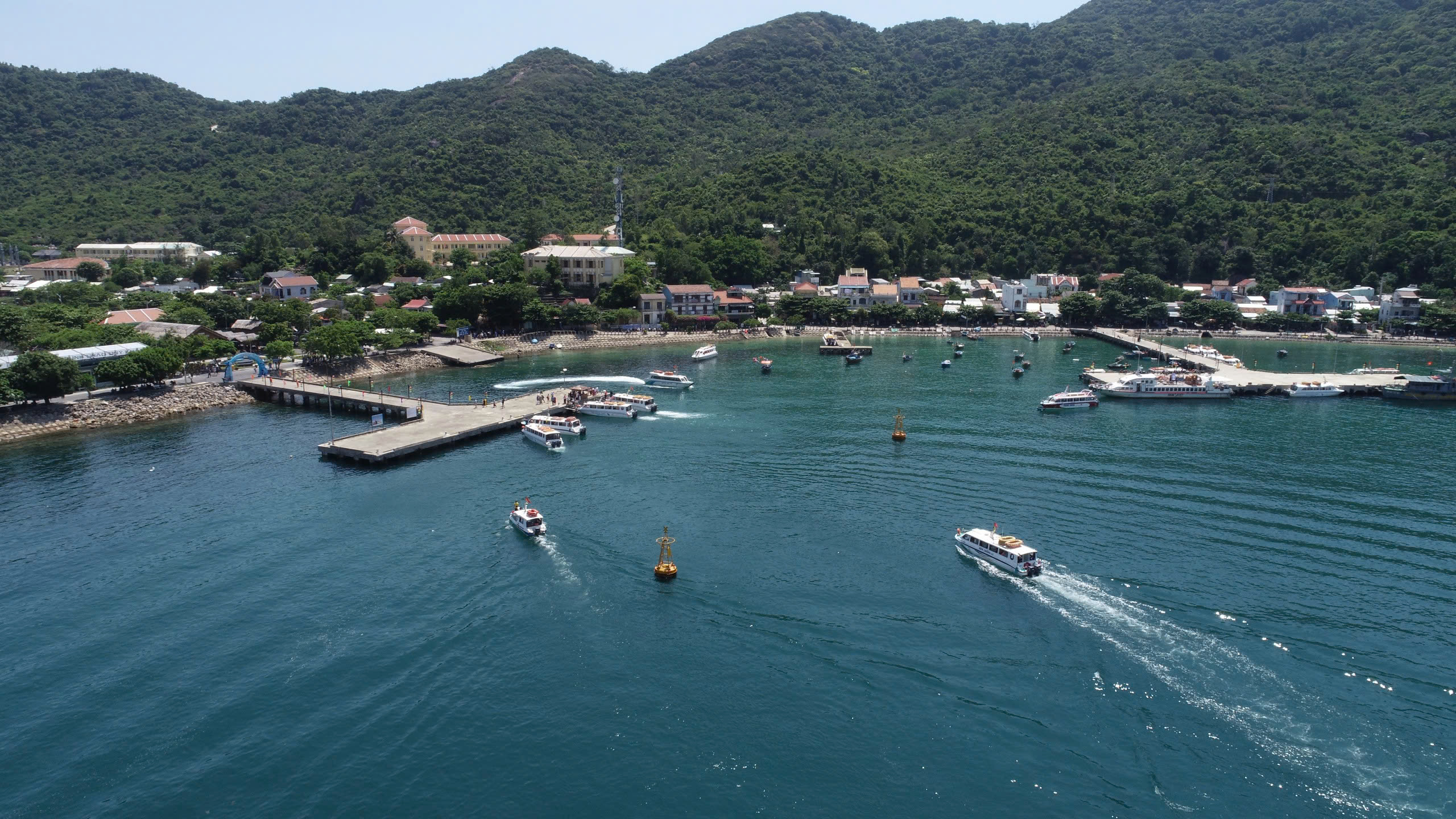 Cảng vụ Đ&agrave; Nẵng v&agrave; doanh nghiệp vận tải thủy b&agrave;n c&aacute;ch tối ưu tuyến Cửa Đại - C&ugrave; Lao Ch&agrave;m- Ảnh 4.