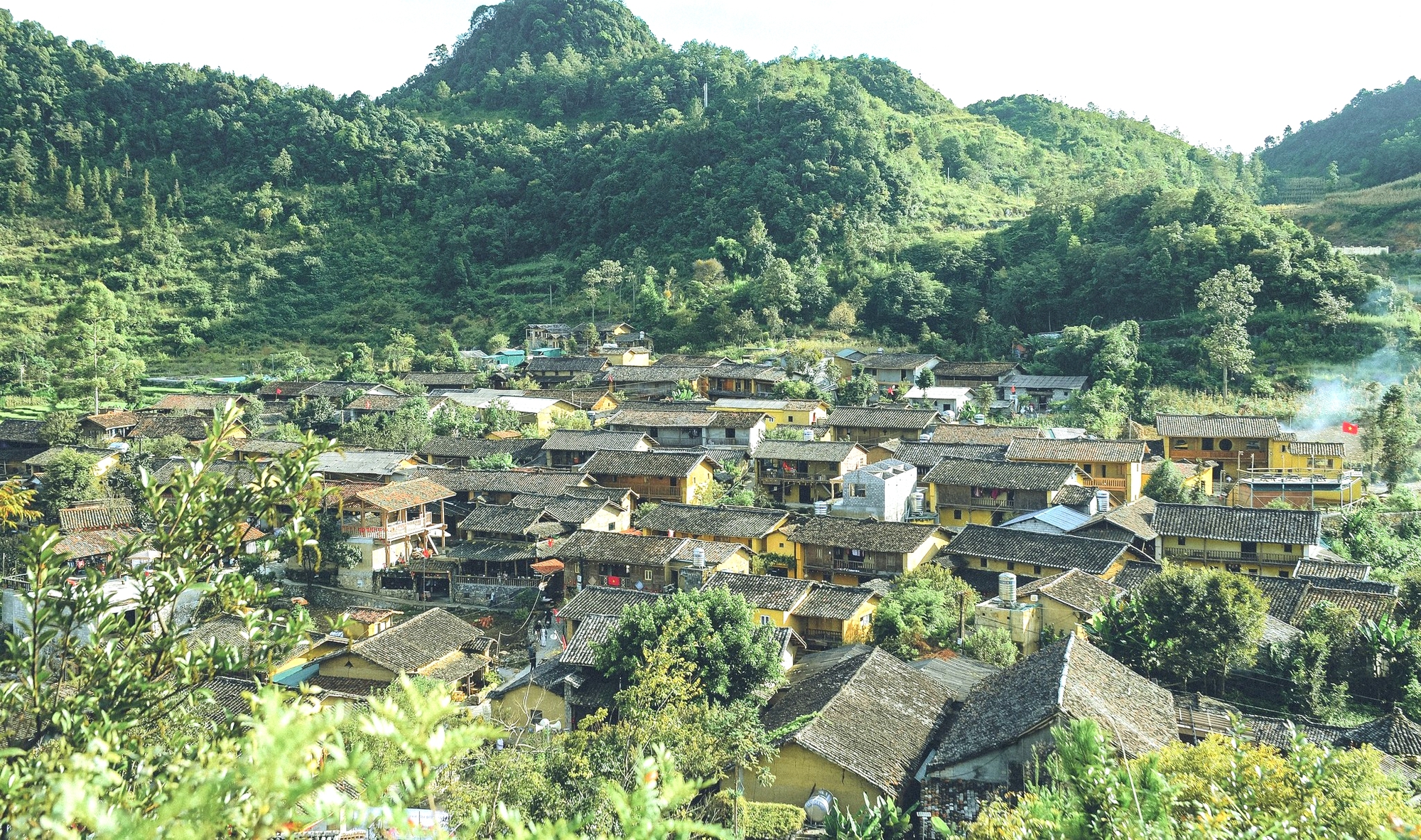 Tuy&ecirc;n Quang: Chuẩn bị tổ chức Lễ hội hoa Tam Gi&aacute;c Mạch lần thứ XI- Ảnh 2.