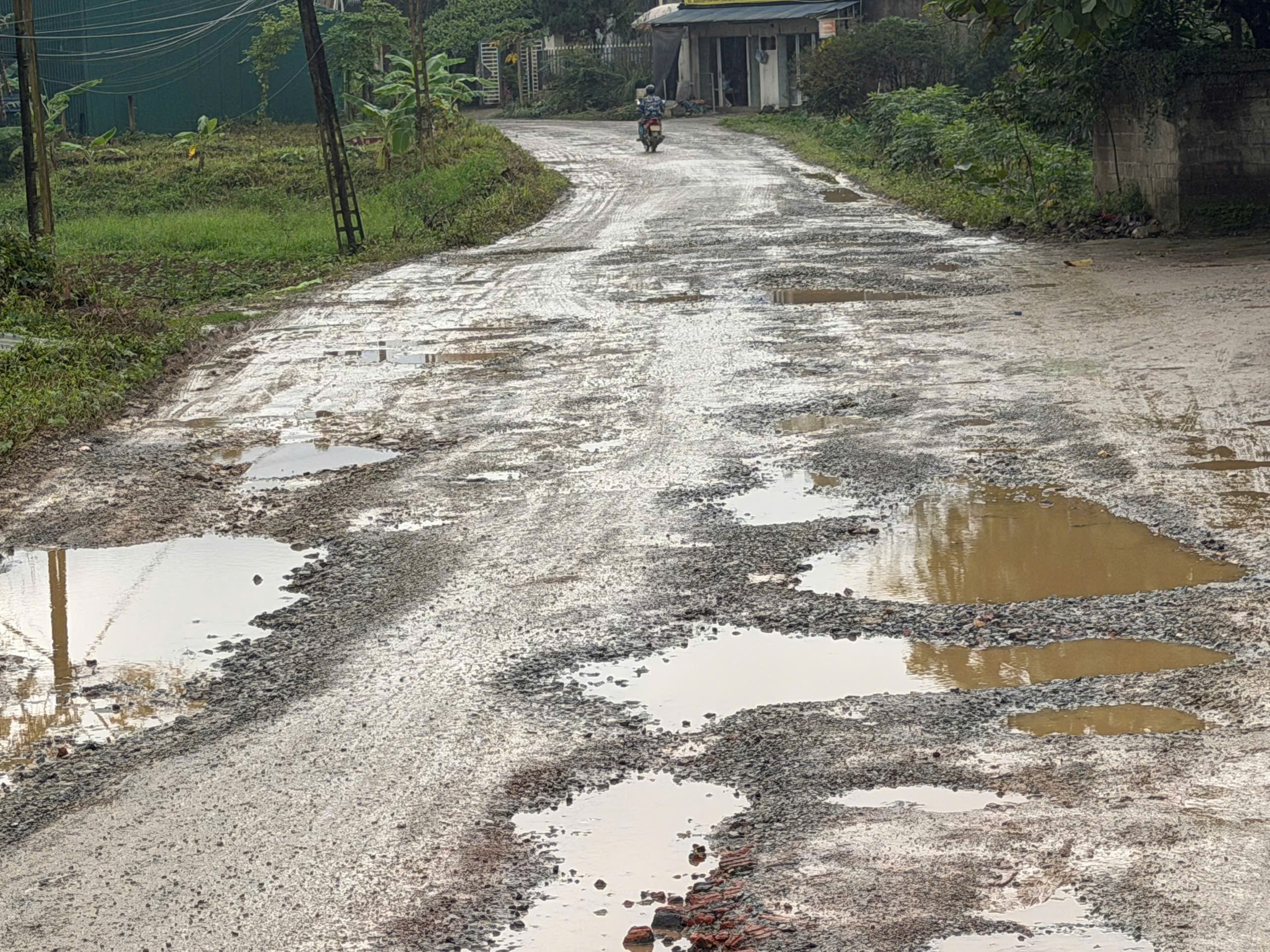 Người d&acirc;n khốn khổ băng qua tuyến đường to&agrave;n ổ tr&acirc;u ở Ph&uacute; Thọ- Ảnh 2.