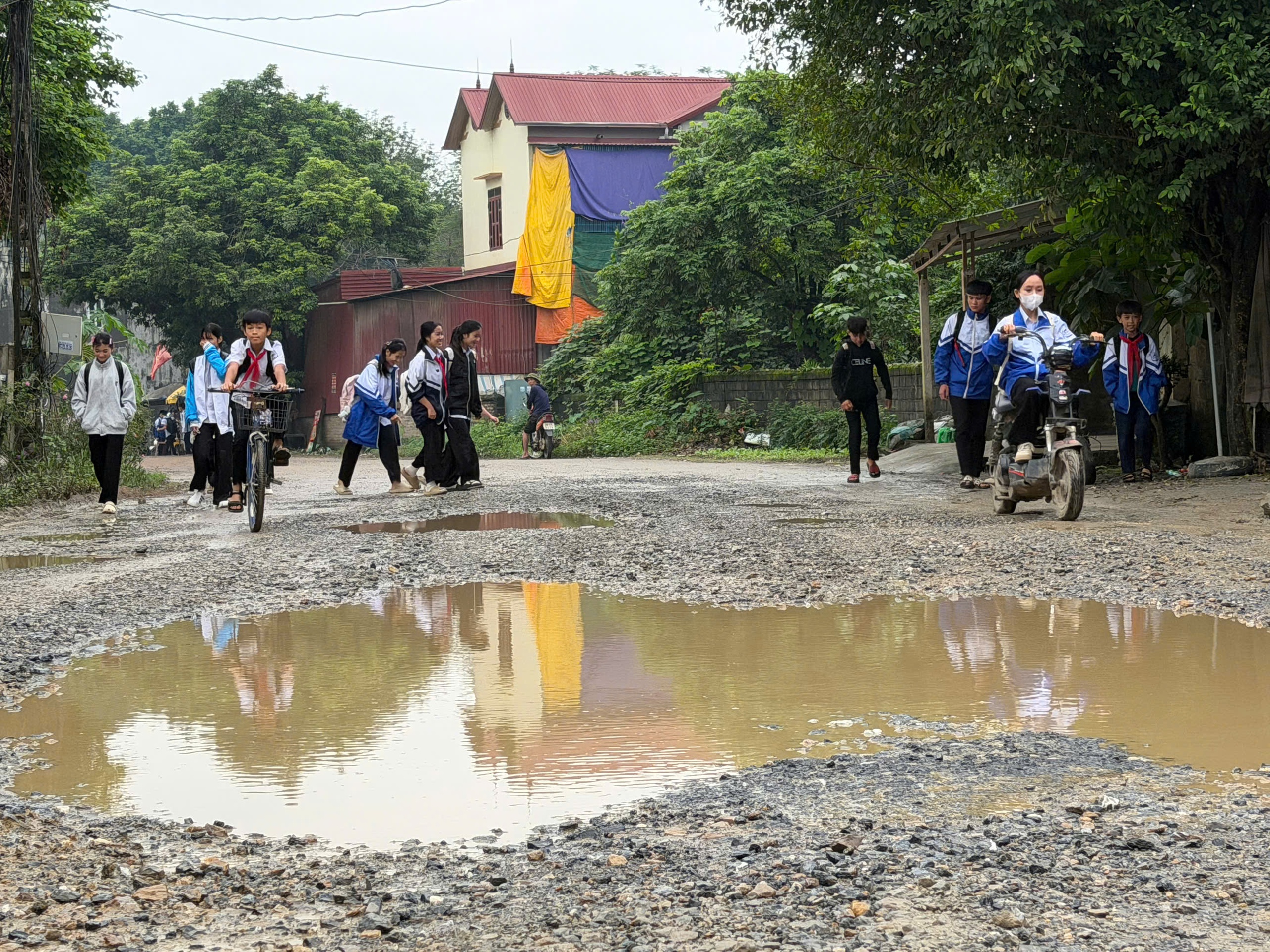 Người d&acirc;n khốn khổ băng qua tuyến đường to&agrave;n ổ tr&acirc;u ở Ph&uacute; Thọ- Ảnh 4.