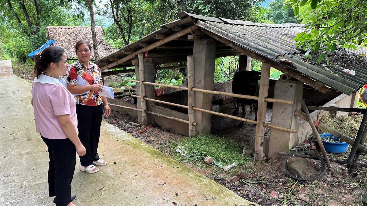 Ph&uacute; Thọ: Ph&aacute;t triển kinh tế gắn liền với chăm lo an sinh x&atilde; hội cho người d&acirc;n- Ảnh 2.