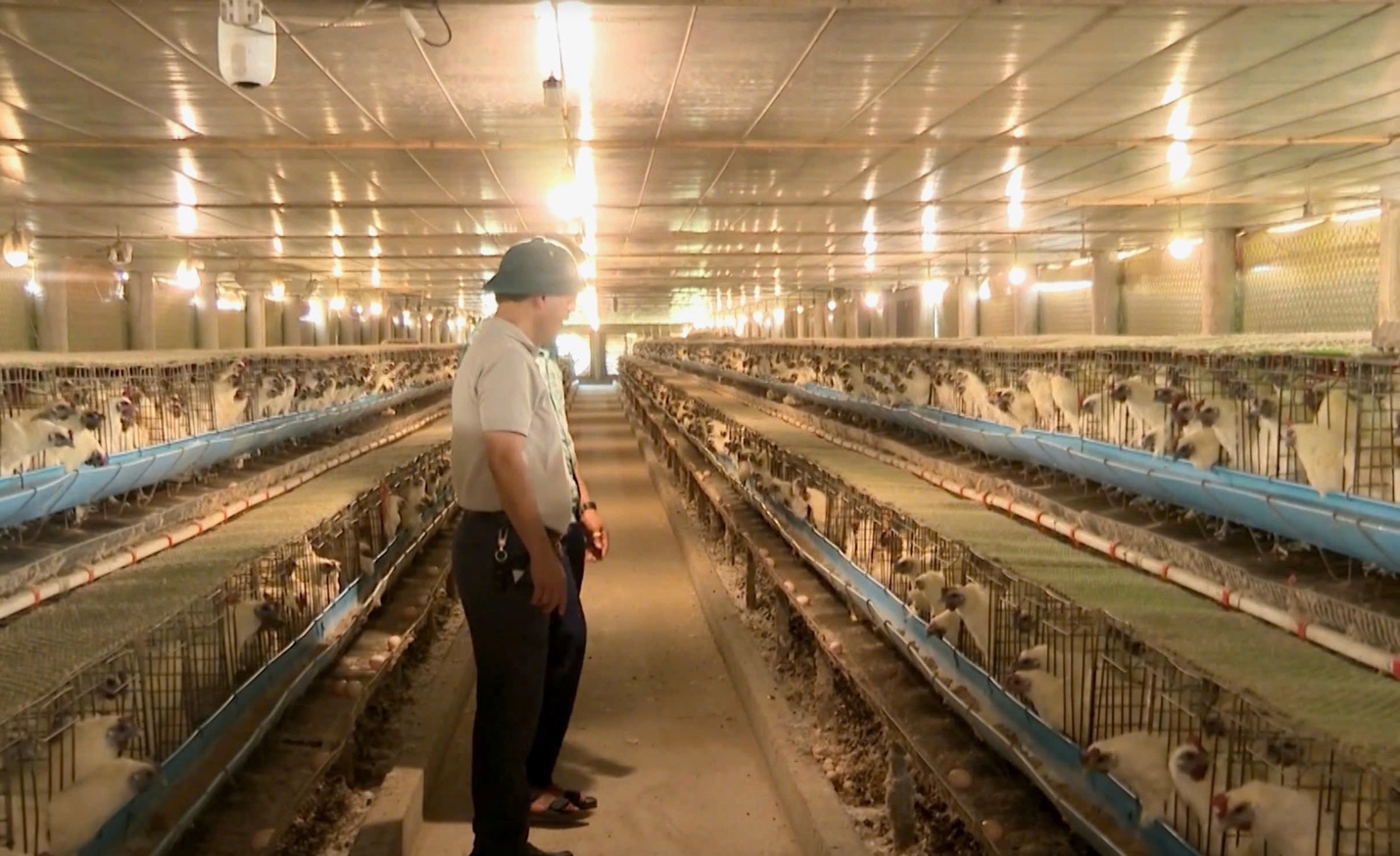 Nghệ An: Hướng đến x&acirc;y dựng x&atilde; n&ocirc;ng th&ocirc;n mới hiện đại, hạ tầng đồng bộ- Ảnh 4.