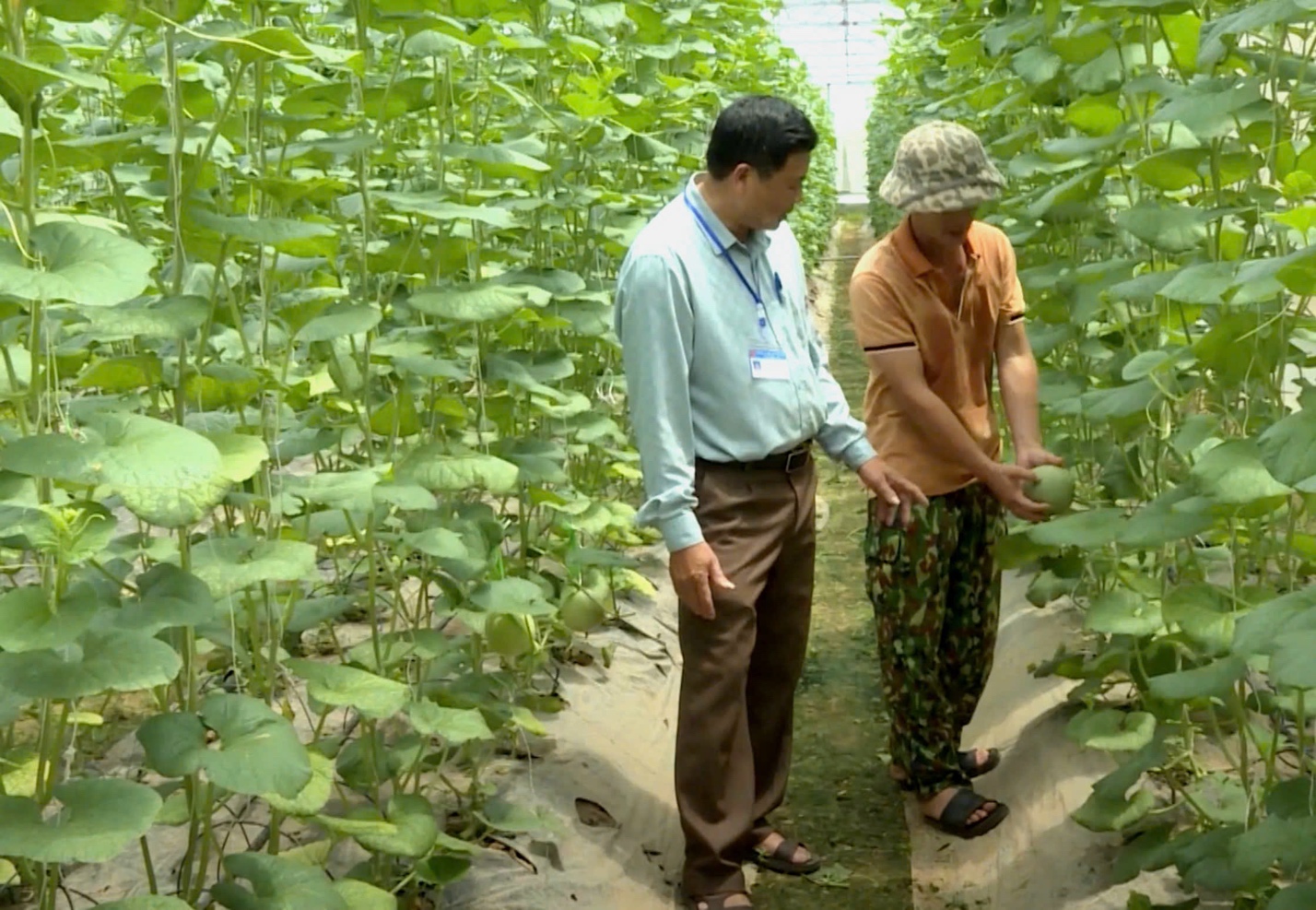 Nghệ An: Hướng đến x&acirc;y dựng x&atilde; n&ocirc;ng th&ocirc;n mới hiện đại, hạ tầng đồng bộ- Ảnh 5.