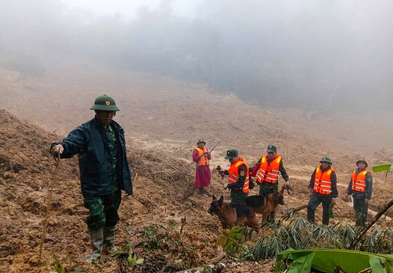 Đ&agrave; Nẵng: Qu&acirc;n khu 5 đưa ch&oacute; nghiệp vụ v&agrave;o khu vực sạt lở t&igrave;m kiếm nạn nh&acirc;n- Ảnh 1.