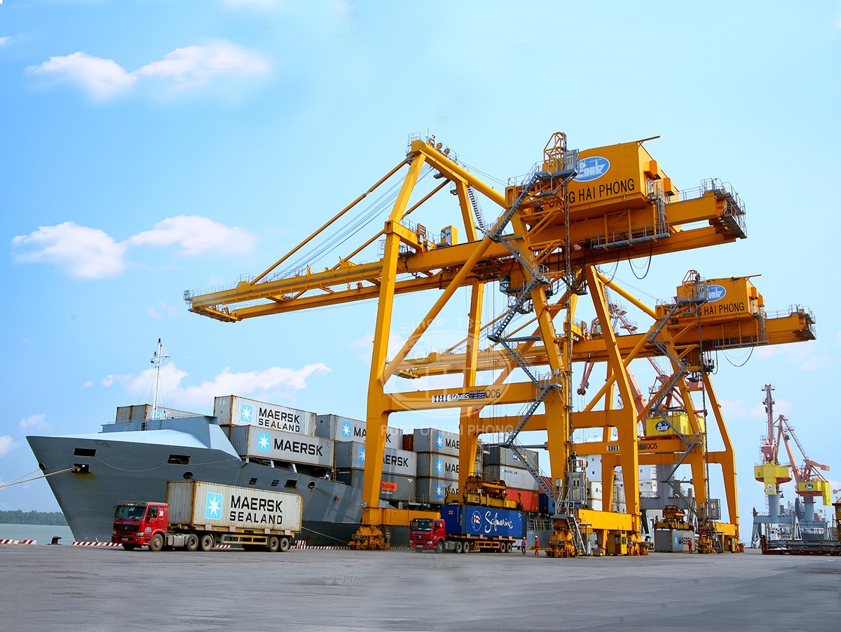 Cảng Ch&ugrave;a Vẽ trước &aacute;p lực di dời: V&igrave; sao chỉ c&ograve;n một phương &aacute;n khả thi?- Ảnh 1.