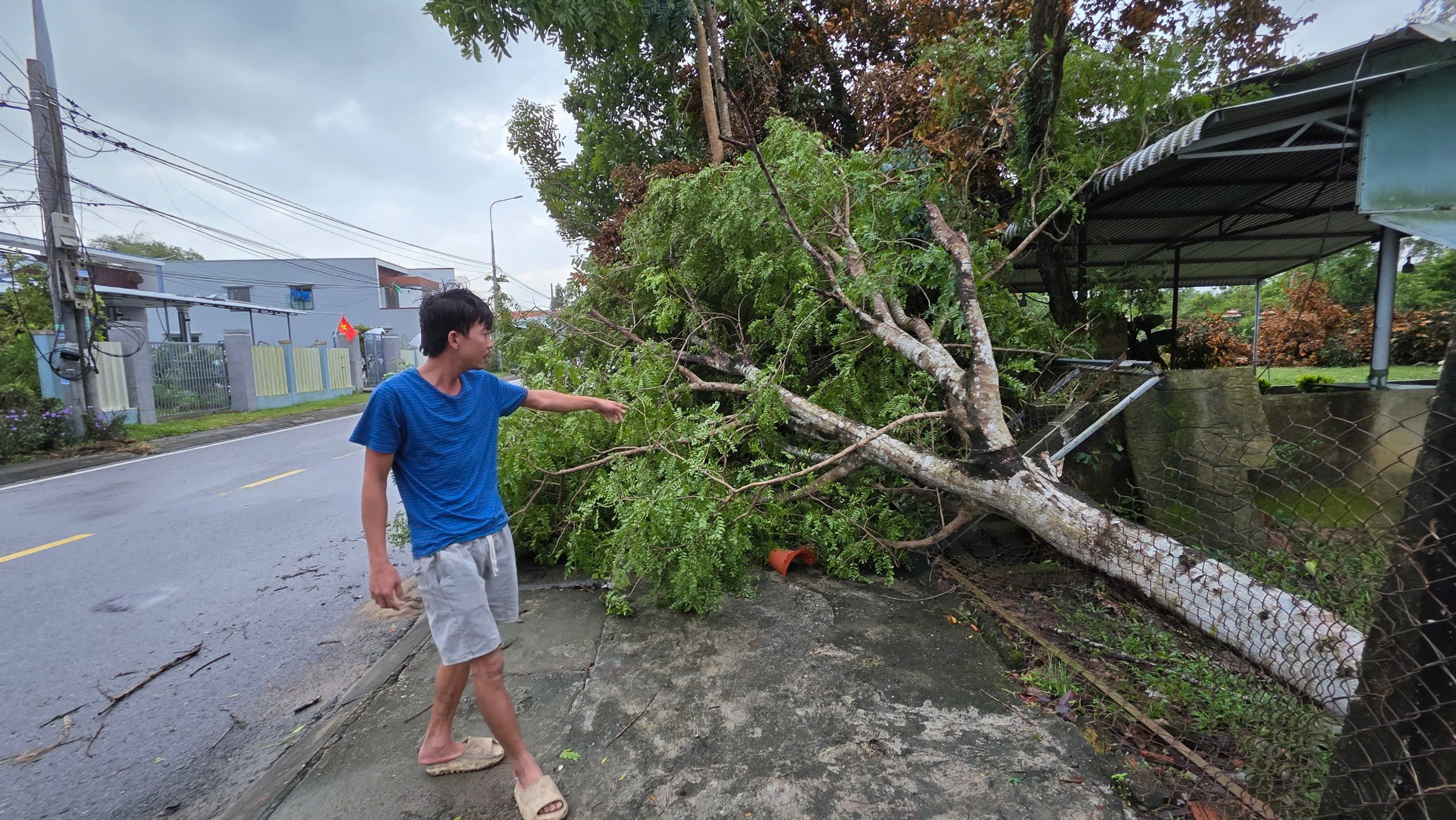 Lốc xo&aacute;y ở Đ&agrave; Nẵng, 4 người bị thương, hơn 30 ng&ocirc;i nh&agrave; tốc m&aacute;i- Ảnh 6.