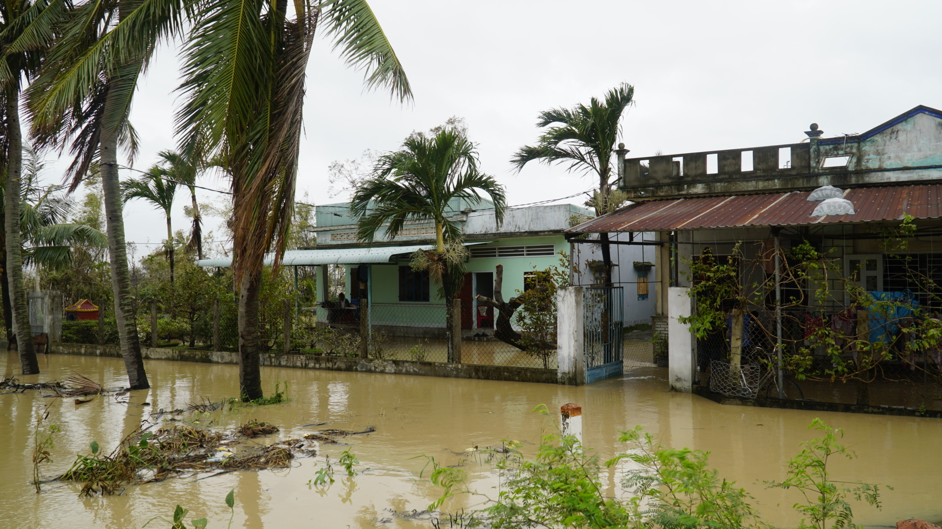 Nhiều khu vực tại Gia Lai ngập cục bộ do mưa lớn liên tiếp nhiều ngày- Ảnh 1. Nhiều khu vực tại Gia Lai ngập cục bộ do mưa lớn liên tiếp nhiều ngày- Ảnh 1.