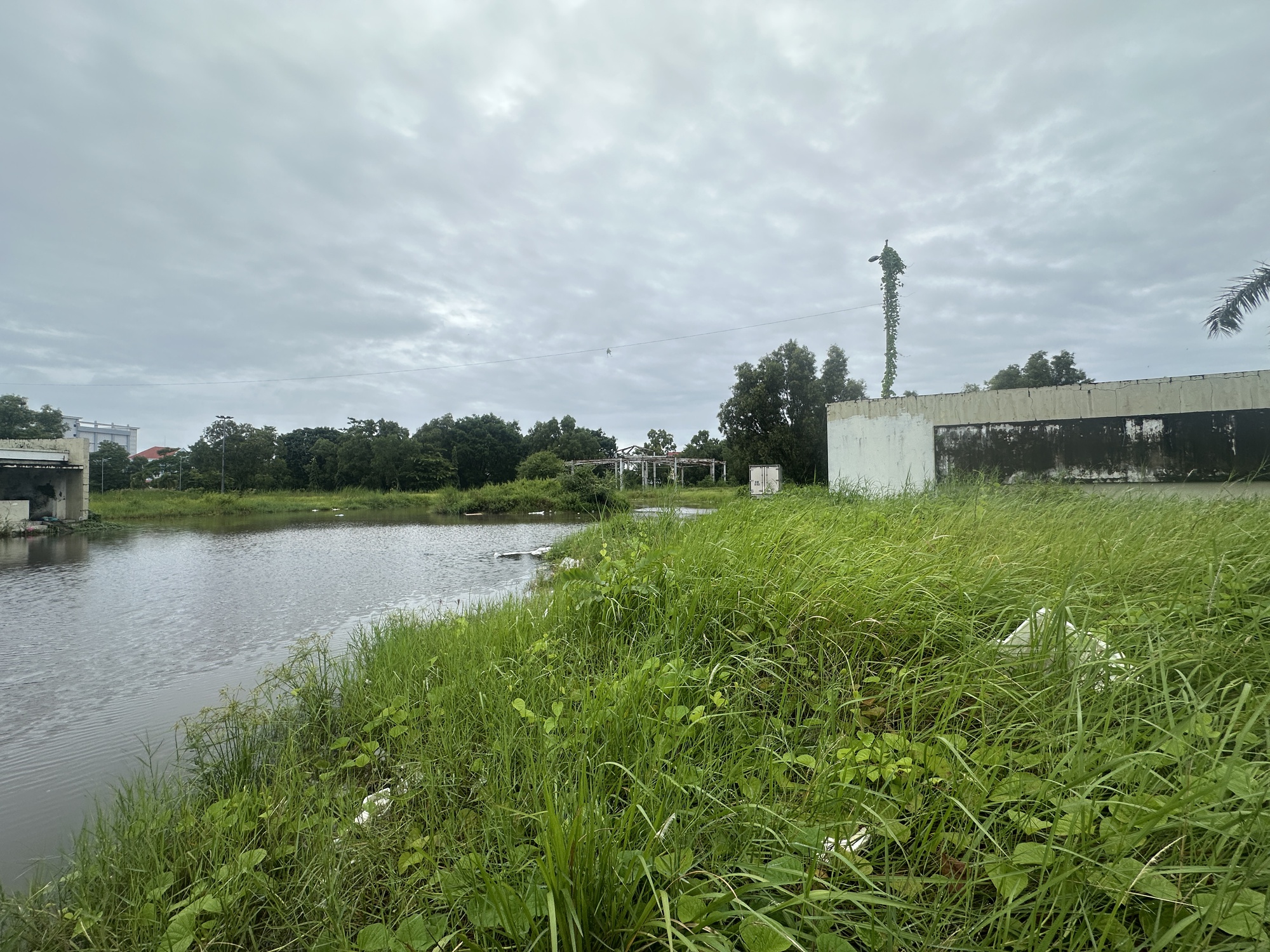 Cà Mau gỡ vướng đất công, trụ sở dôi dư ra sao?- Ảnh 1. Cà Mau gỡ vướng đất công, trụ sở dôi dư ra sao?- Ảnh 1.