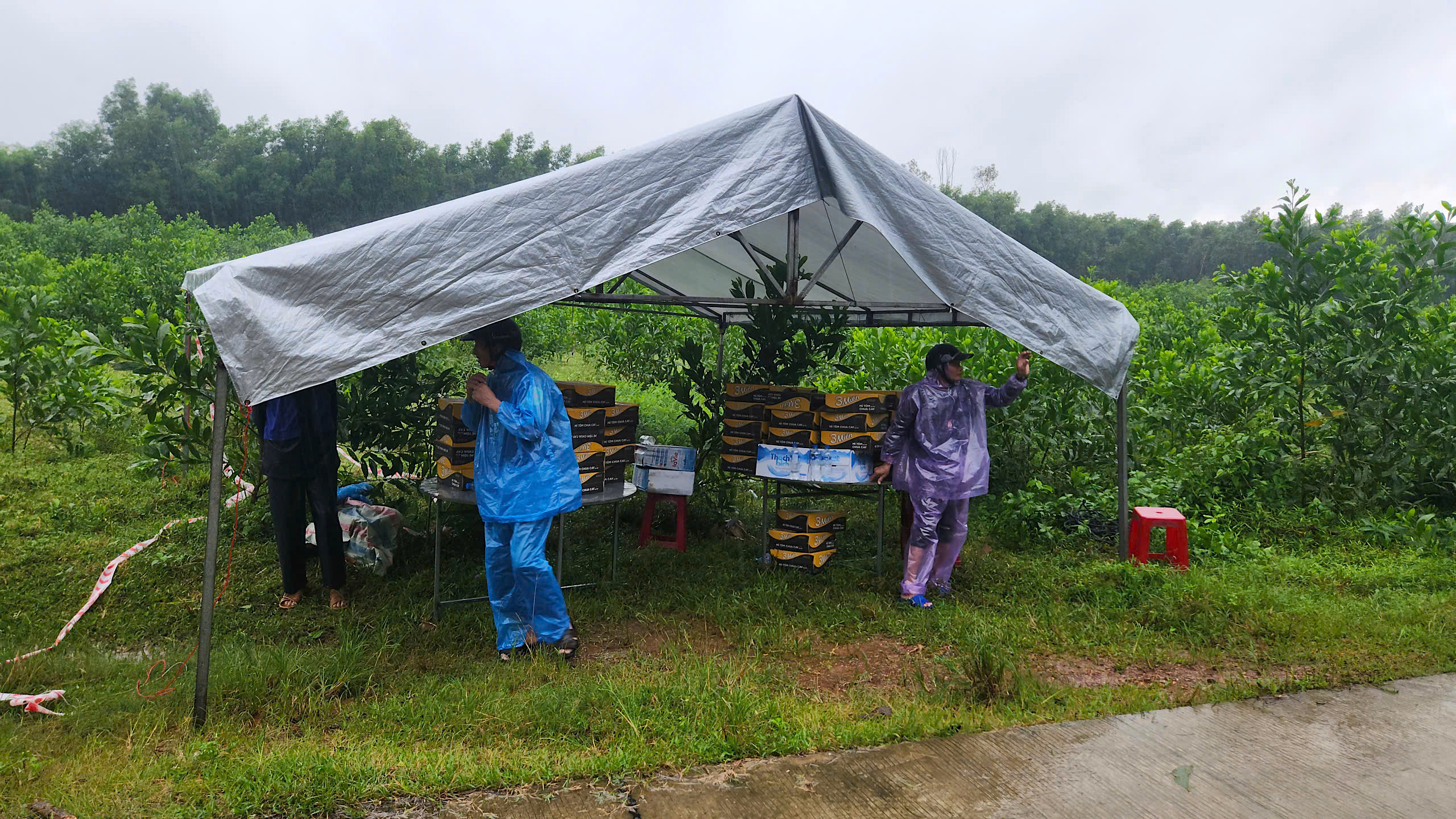 12 giờ dựng xong cầu tạm, nối lưu th&ocirc;ng đoạn cầu sập do mưa lũ ở Quảng Ng&atilde;i- Ảnh 3.