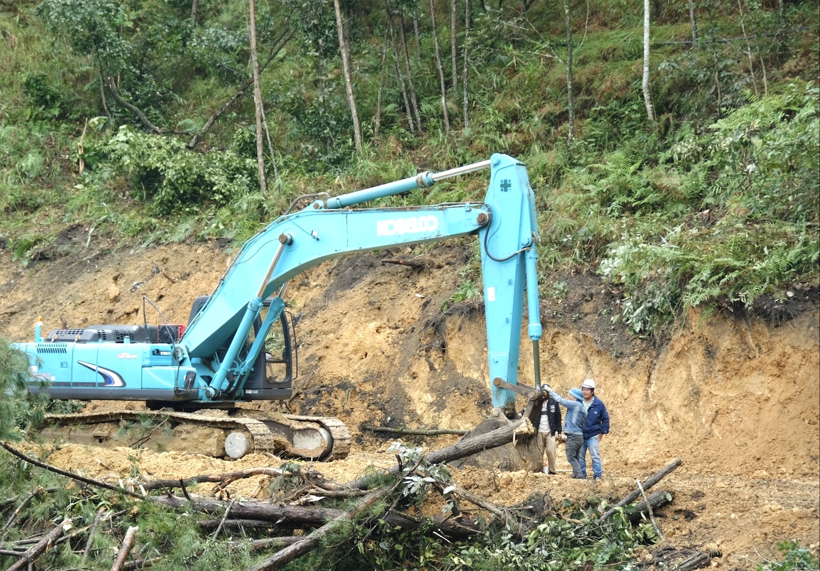 Ph&oacute; Thủ tướng Hồ Quốc Dũng kiểm tra hiện trường sạt lở đ&egrave;o Prenn v&agrave; Mimosa- Ảnh 2.