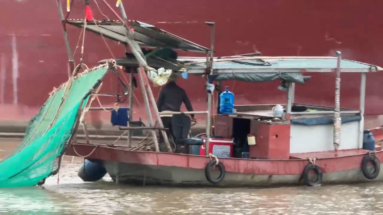 Hải Ph&ograve;ng: Xử l&yacute; nghi&ecirc;m đ&aacute;nh bắt thủy sản bằng điện tr&ecirc;n s&ocirc;ng Cấm- Ảnh 2.