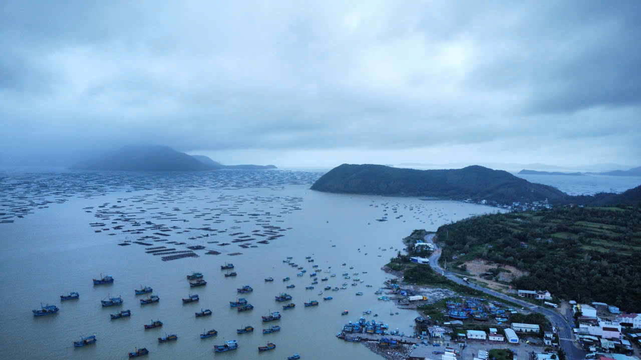 Đắk Lắk: L&agrave;ng ch&agrave;i S&ocirc;ng Cầu tả tơi sau lũ dữ, x&aacute;c t&ocirc;m h&ugrave;m phơi ở vệ đường- Ảnh 1.