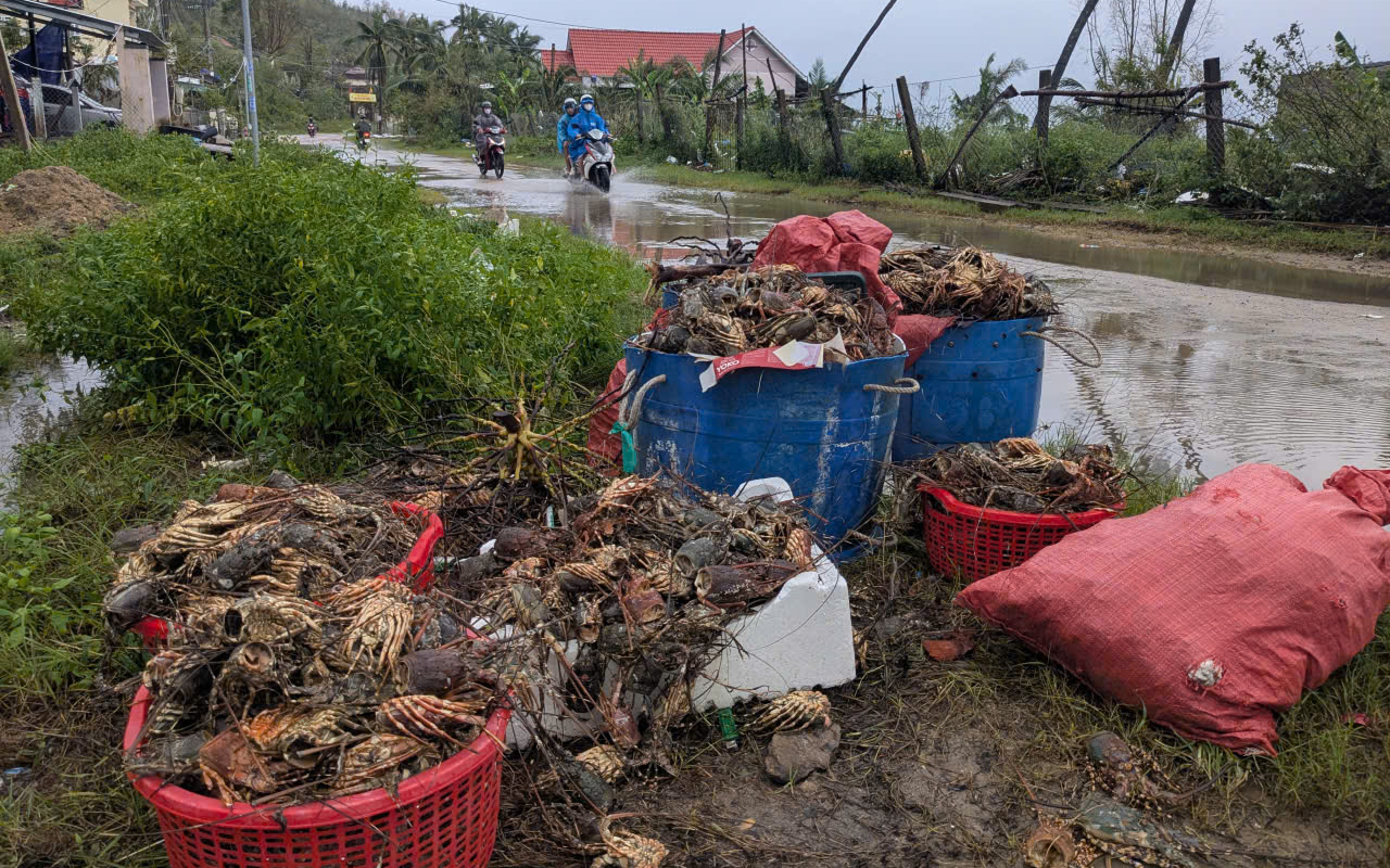 Đắk Lắk: L&agrave;ng ch&agrave;i S&ocirc;ng Cầu tả tơi sau lũ dữ, x&aacute;c t&ocirc;m h&ugrave;m phơi ở vệ đường- Ảnh 4.