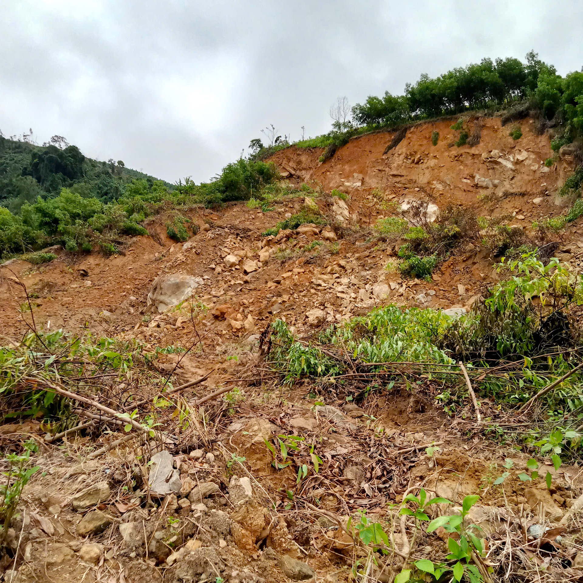 Quảng Ngãi: Đường sụp thành vực sâu, hàng trăm hộ dân bị chia cắt- Ảnh 8. Quảng Ngãi: Đường sụp thành vực sâu, hàng trăm hộ dân bị chia cắt- Ảnh 8.