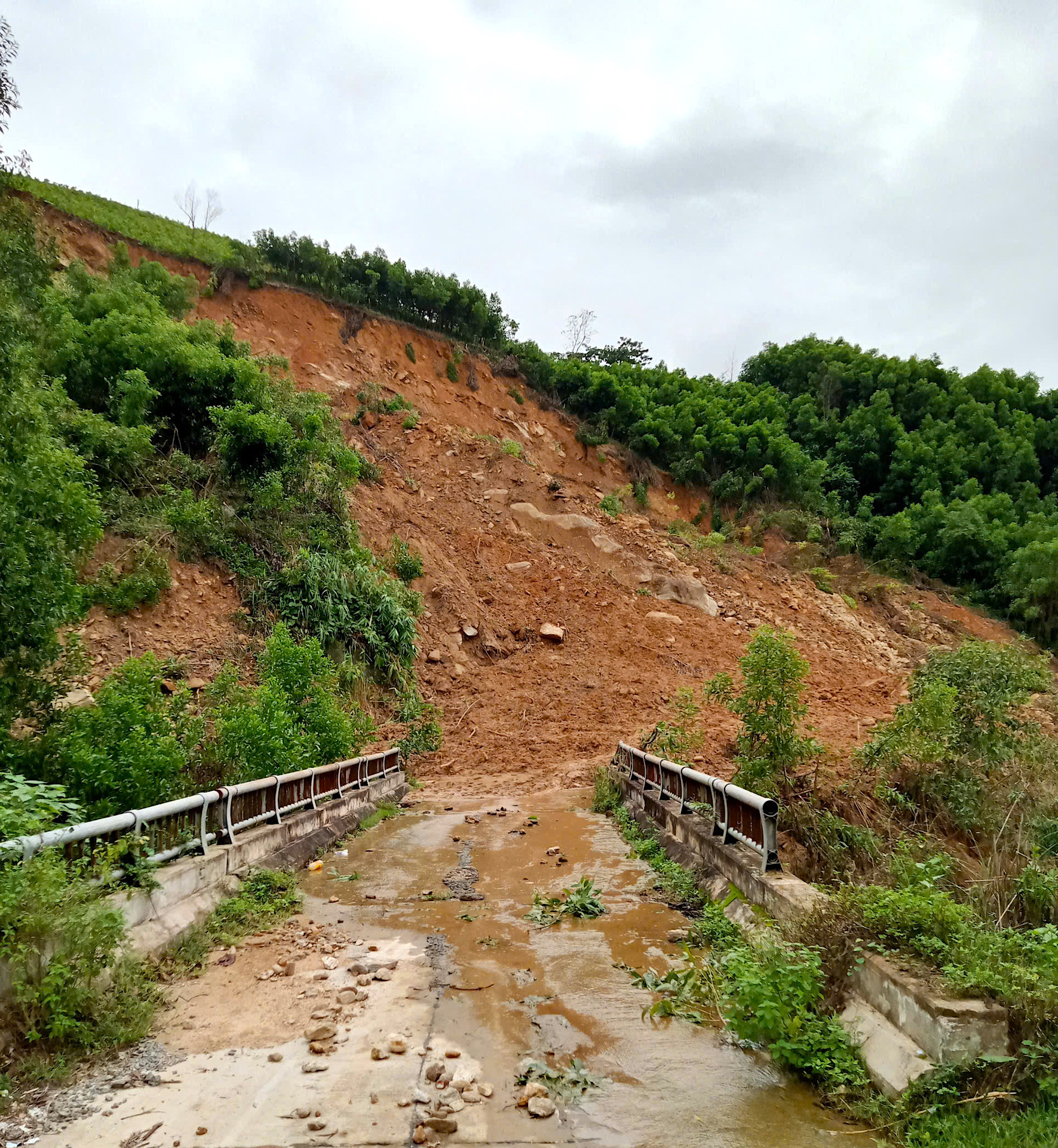Quảng Ngãi: Đường sụp thành vực sâu, hàng trăm hộ dân bị chia cắt- Ảnh 9. Quảng Ngãi: Đường sụp thành vực sâu, hàng trăm hộ dân bị chia cắt- Ảnh 9.