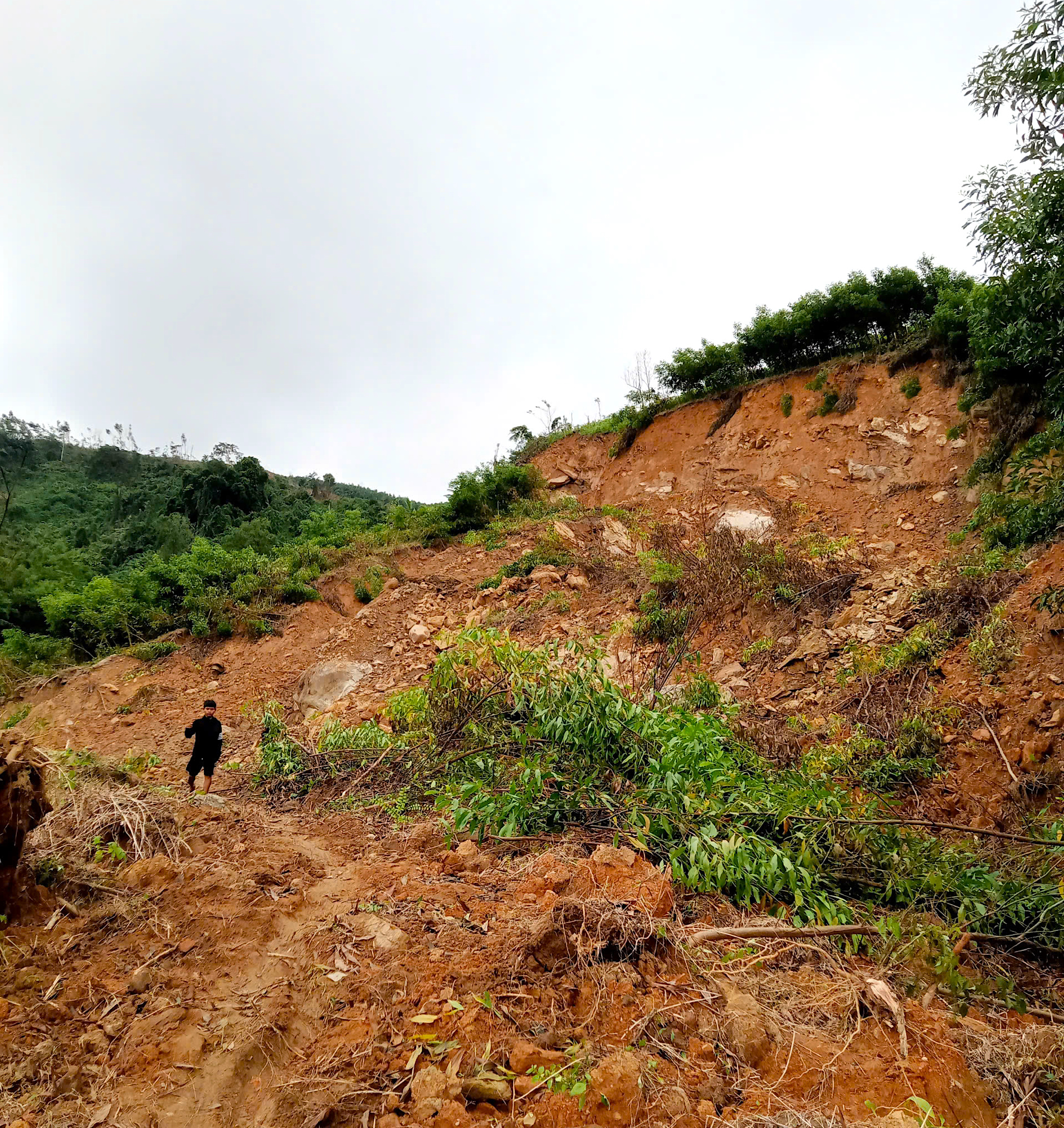 Quảng Ngãi: Đường sụp thành vực sâu, hàng trăm hộ dân bị chia cắt- Ảnh 11. Quảng Ngãi: Đường sụp thành vực sâu, hàng trăm hộ dân bị chia cắt- Ảnh 11.