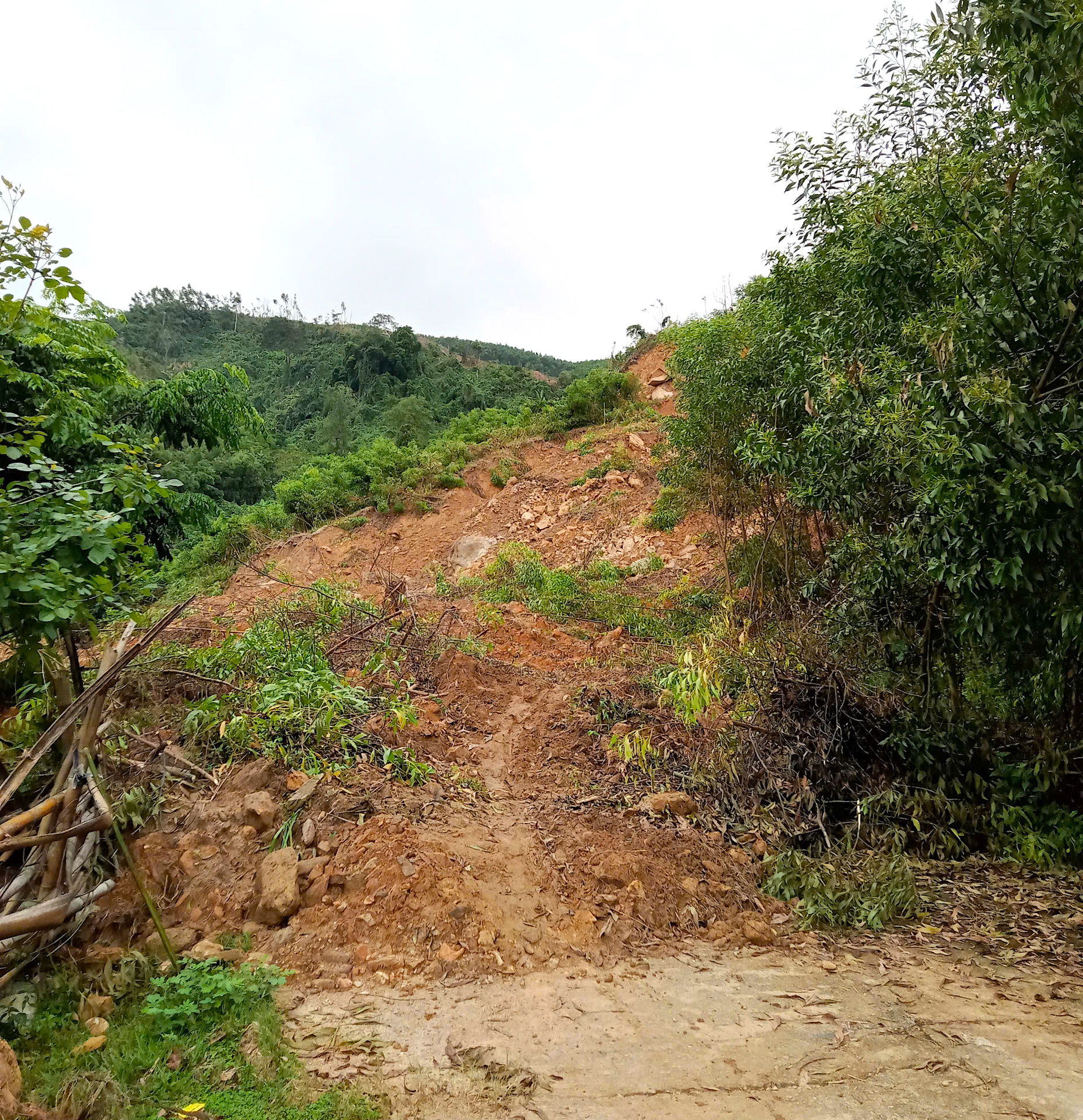 Quảng Ngãi: Đường sụp thành vực sâu, hàng trăm hộ dân bị chia cắt- Ảnh 2. Quảng Ngãi: Đường sụp thành vực sâu, hàng trăm hộ dân bị chia cắt- Ảnh 2.