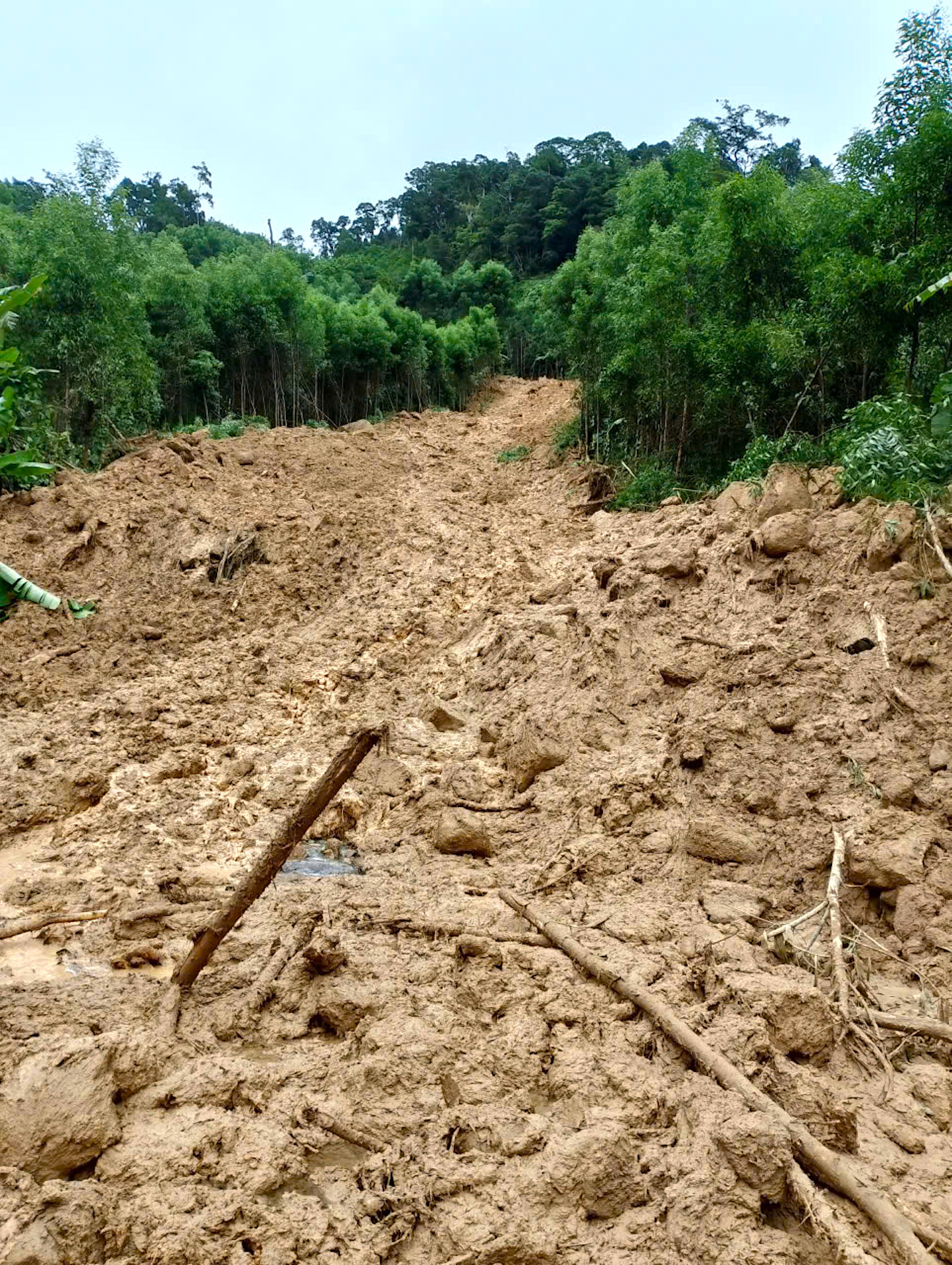 Quảng Ngãi: Đường sụp thành vực sâu, hàng trăm hộ dân bị chia cắt- Ảnh 6. Quảng Ngãi: Đường sụp thành vực sâu, hàng trăm hộ dân bị chia cắt- Ảnh 6.