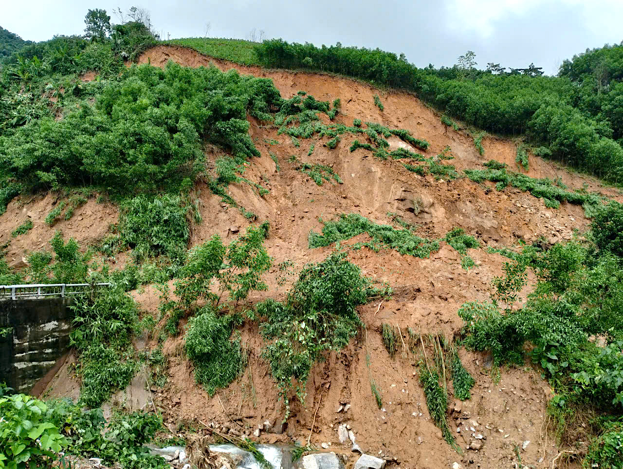 Quảng Ngãi: Đường sụp thành vực sâu, hàng trăm hộ dân bị chia cắt- Ảnh 7. Quảng Ngãi: Đường sụp thành vực sâu, hàng trăm hộ dân bị chia cắt- Ảnh 7.