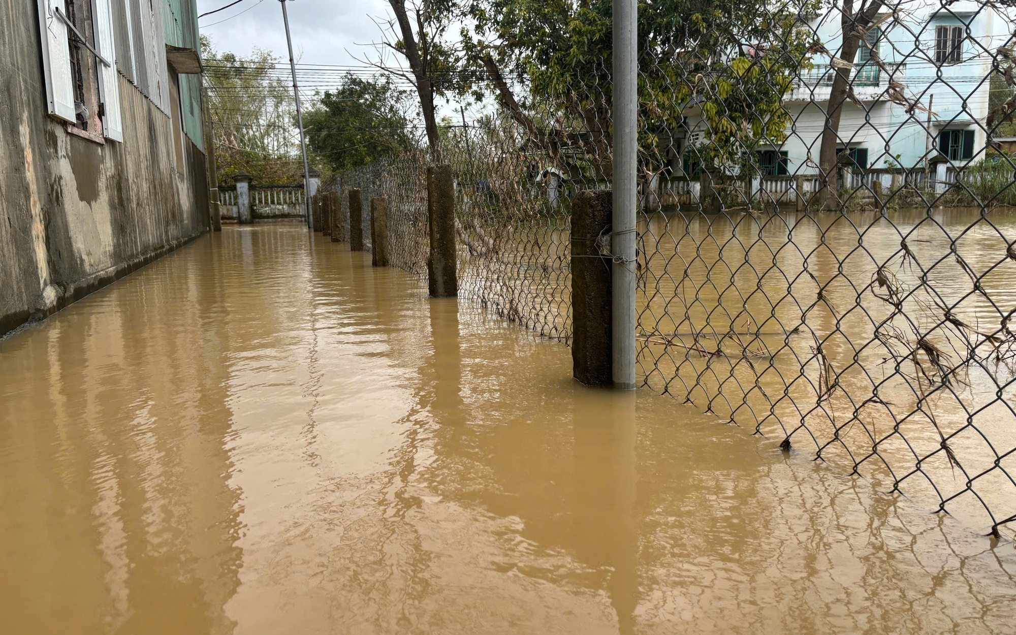 Mưa lũ gây thiệt hại hơn 1.500 tỷ đồng tại Gia Lai- Ảnh 4. Gia Lai: Đêm và sáng 24/11 mưa lớn, nhiều khu vực ngập trở lại