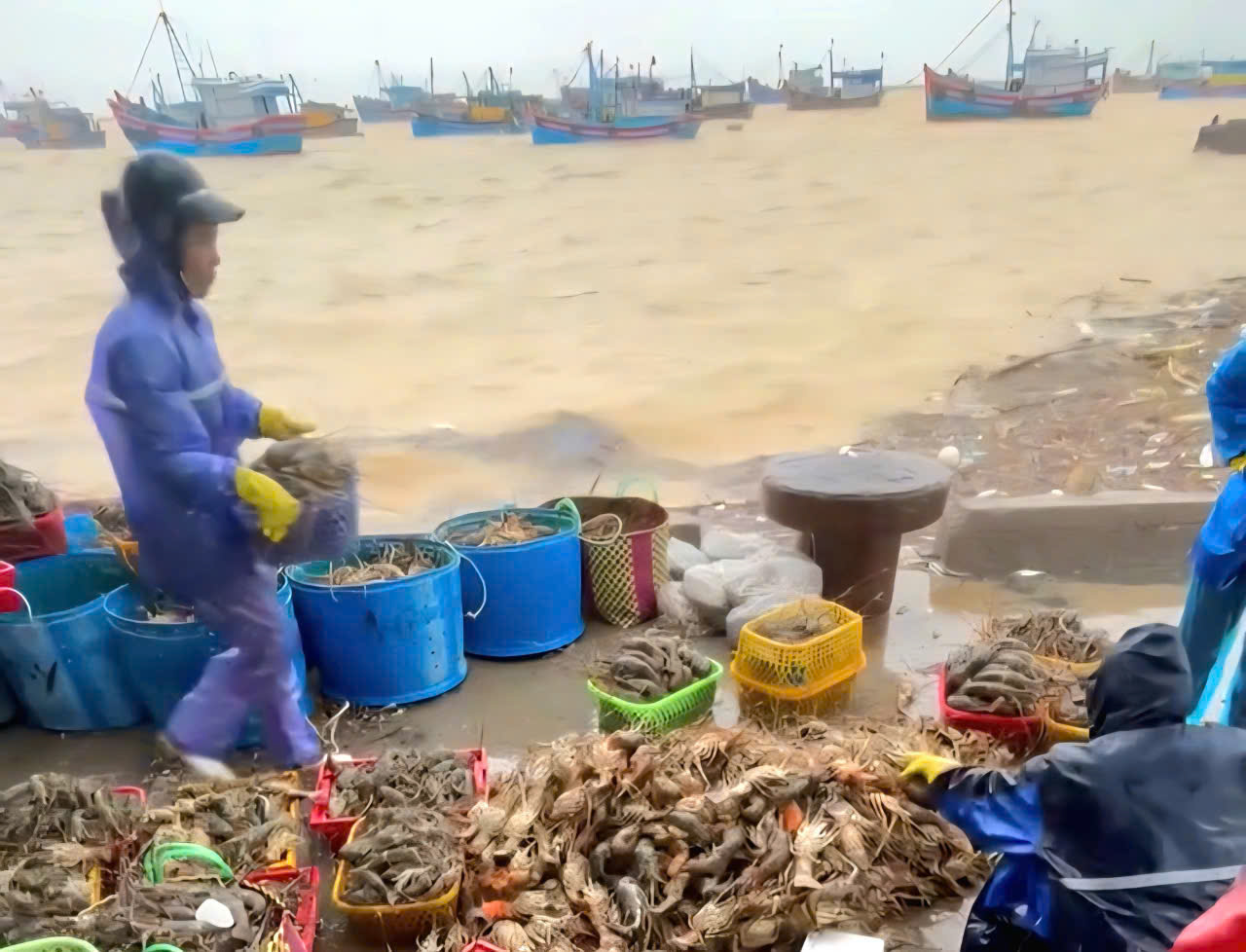 Đắk Lắk: L&agrave;ng ch&agrave;i S&ocirc;ng Cầu tả tơi sau lũ dữ, x&aacute;c t&ocirc;m h&ugrave;m phơi ở vệ đường- Ảnh 3.