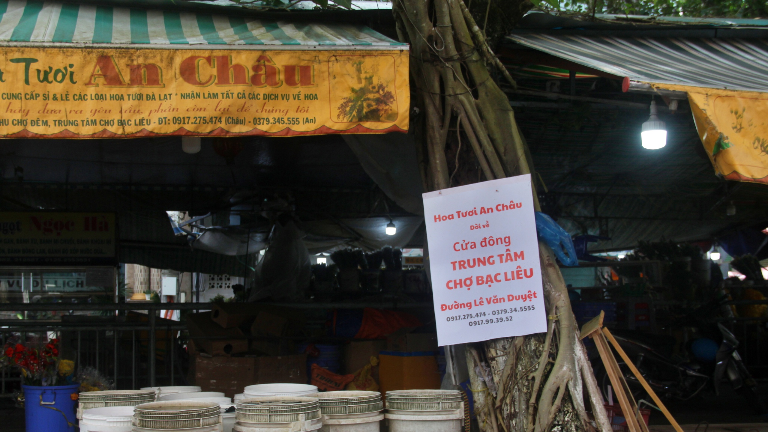 C&agrave; Mau: Di dời c&aacute;c hộ d&acirc;n khu ẩm thực, chợ đ&ecirc;m về đường H&ograve;a B&igrave;nh- Ảnh 8.