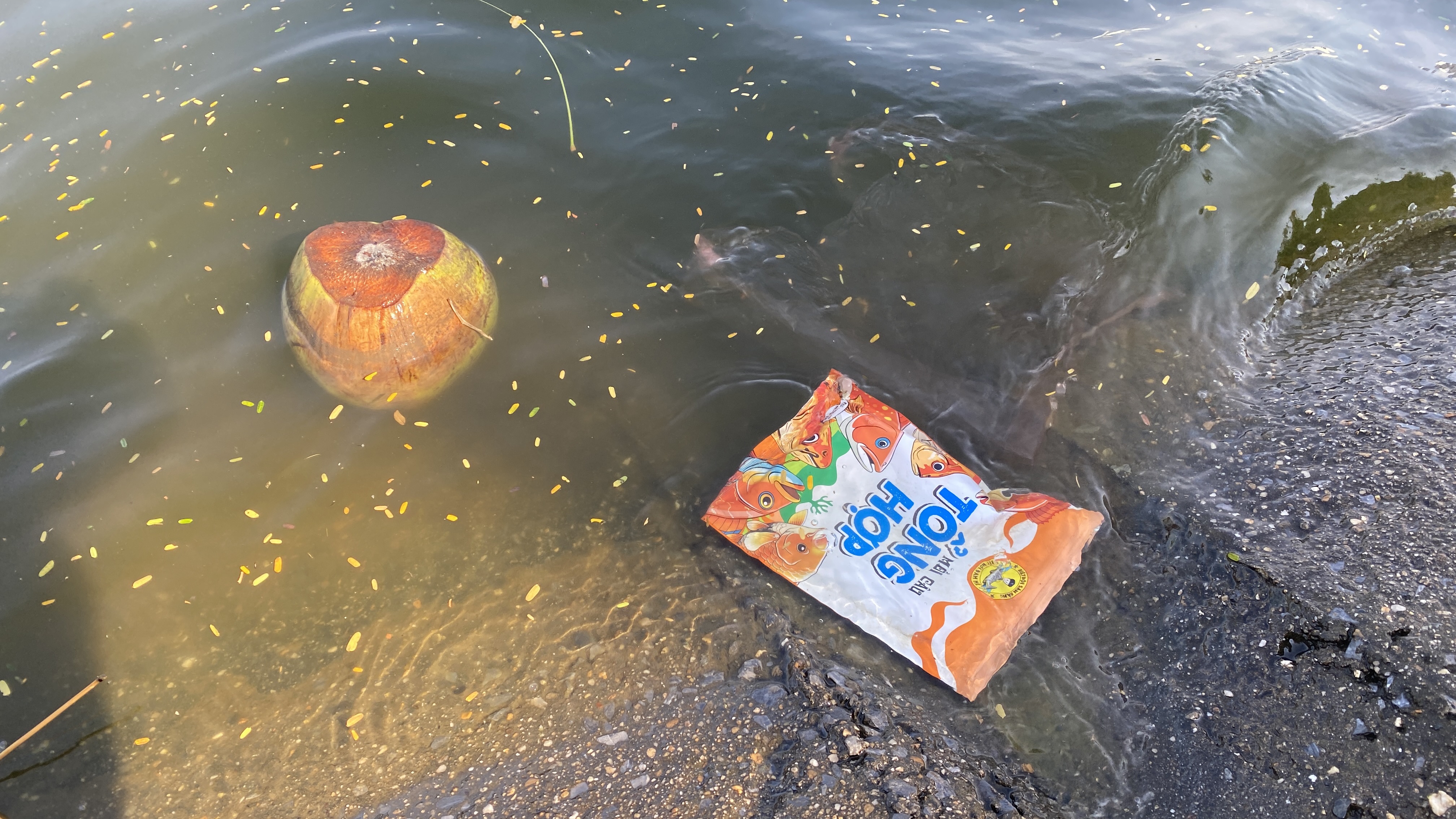 Hồ Linh Đàm ngập ngụa rác, công nhân căng mình dọn dẹp- Ảnh 10. Hồ Linh Đàm ngập ngụa rác, công nhân căng mình dọn dẹp- Ảnh 10.