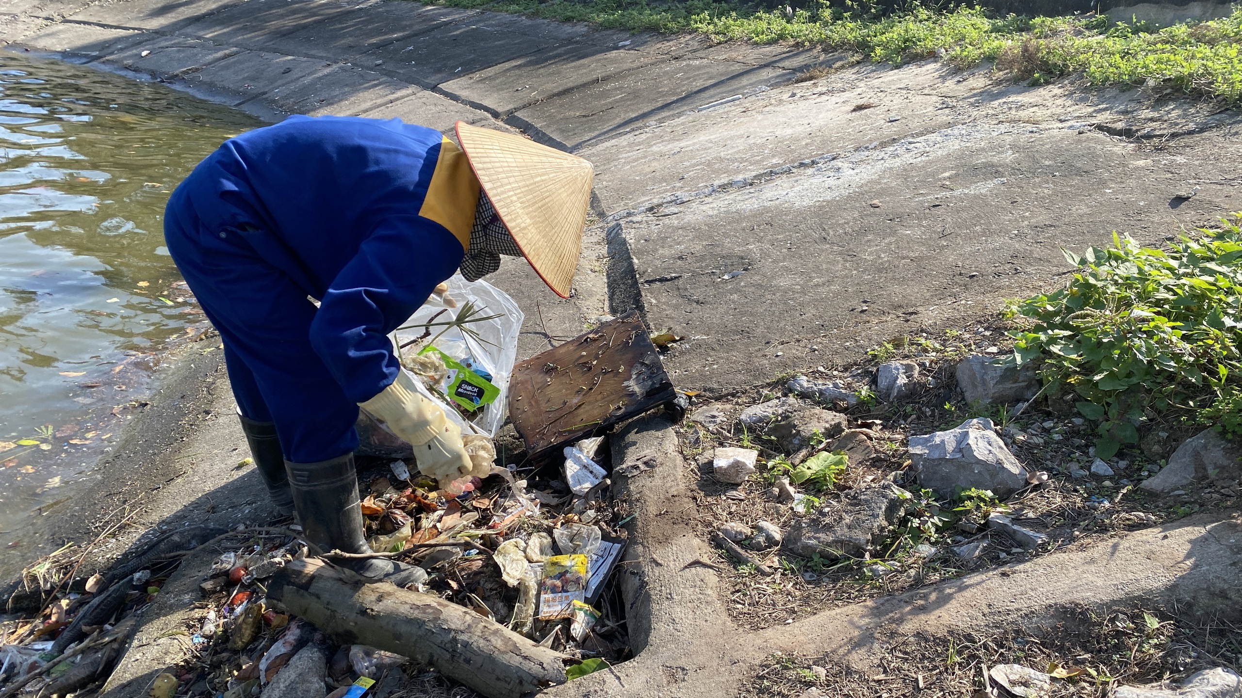 Hồ Linh Đàm ngập ngụa rác, công nhân căng mình dọn dẹp- Ảnh 21. Hồ Linh Đàm ngập ngụa rác, công nhân căng mình dọn dẹp- Ảnh 21.