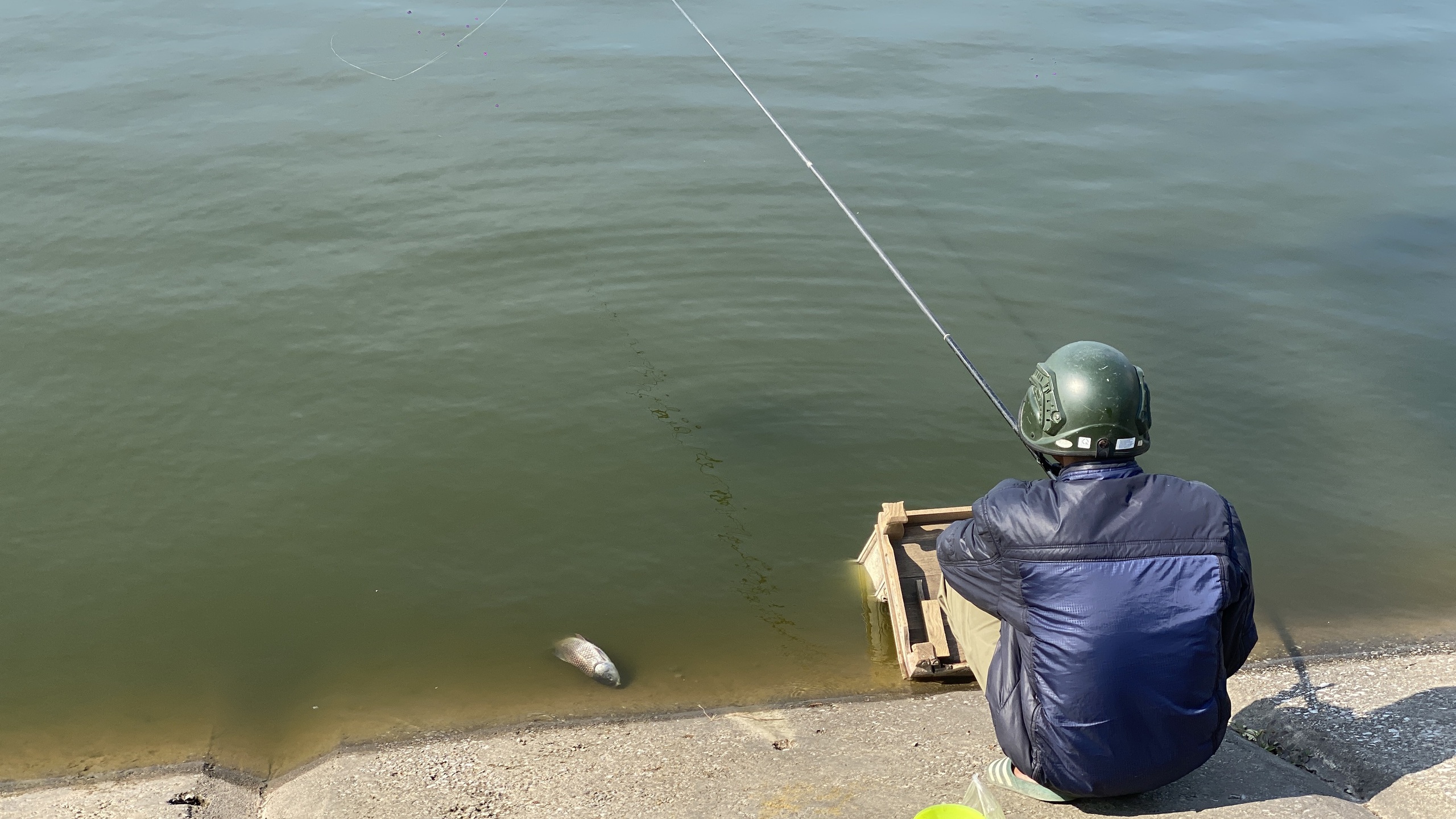 Hồ Linh Đàm ngập ngụa rác, công nhân căng mình dọn dẹp- Ảnh 25. Hồ Linh Đàm ngập ngụa rác, công nhân căng mình dọn dẹp- Ảnh 25.