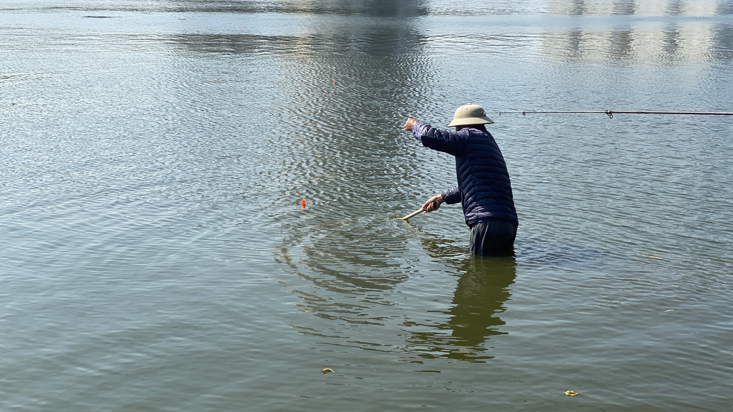 Hồ Linh Đàm ngập ngụa rác, công nhân căng mình dọn dẹp- Ảnh 7. Hồ Linh Đàm ngập ngụa rác, công nhân căng mình dọn dẹp- Ảnh 7.