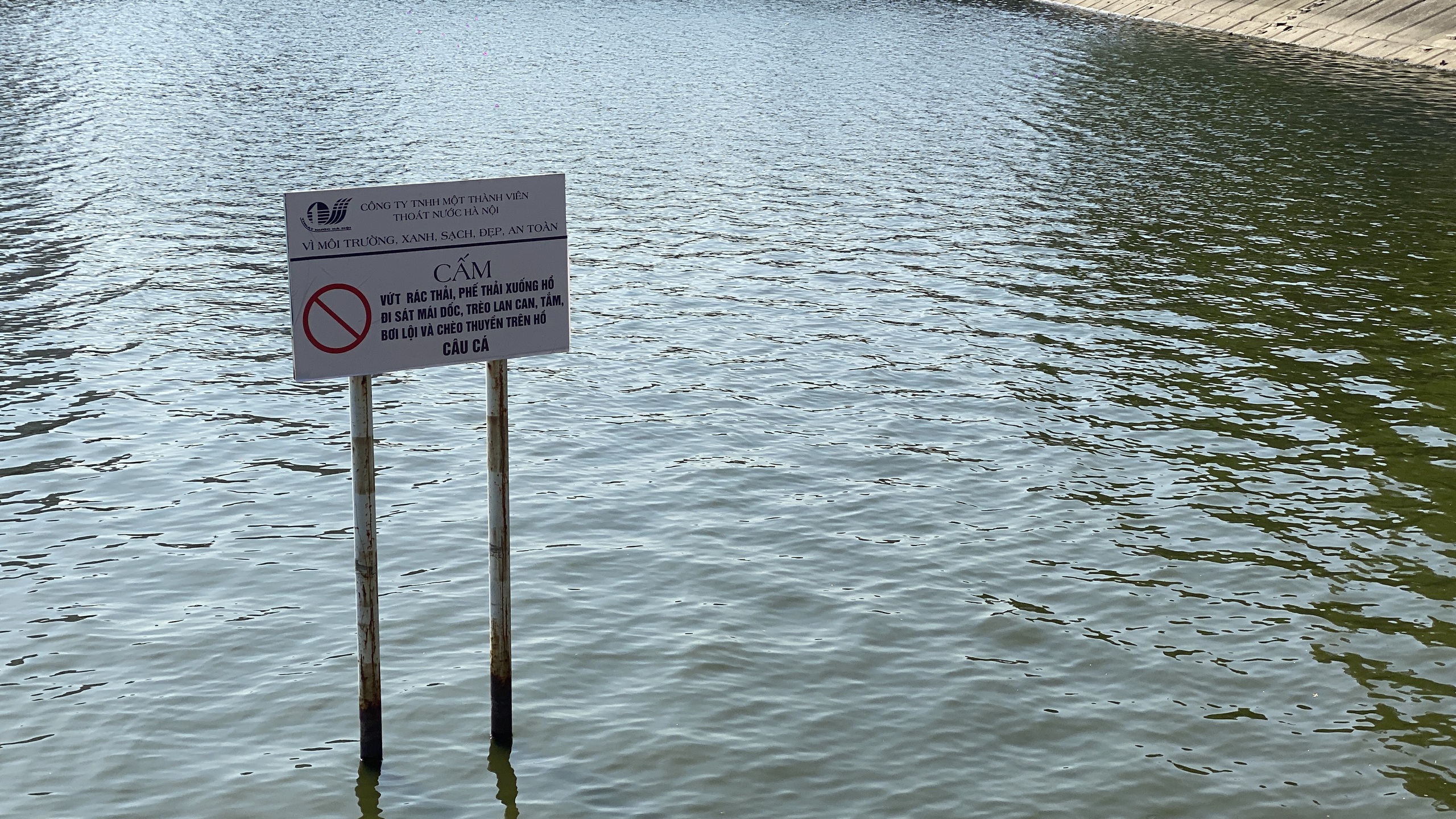 Hồ Linh Đàm ngập ngụa rác, công nhân căng mình dọn dẹp- Ảnh 5. Hồ Linh Đàm ngập ngụa rác, công nhân căng mình dọn dẹp- Ảnh 5.