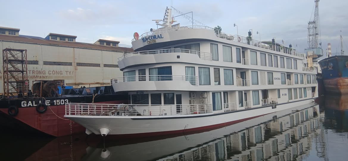 Đơn h&agrave;ng tăng mạnh, Ph&agrave; Rừng dự kiến doanh thu 2025 &ldquo;về đ&iacute;ch sớm&rdquo;- Ảnh 2.