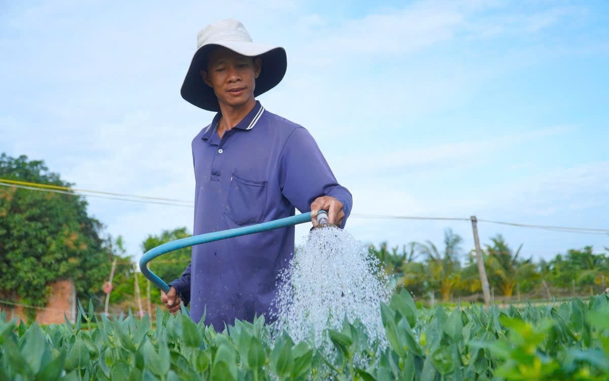 Bàn giải pháp chống "khát" cho Đồng bằng sông Cửu Long- Ảnh 10. Cần Thơ tăng tốc nâng tỷ lệ cấp nước sạch nông thôn