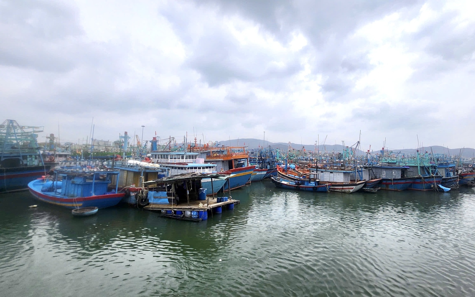 Gia Lai k&ecirc;u gọi hơn 5.400 t&agrave;u thuyền khẩn trương v&agrave;o bờ tr&aacute;nh b&atilde;o số 15