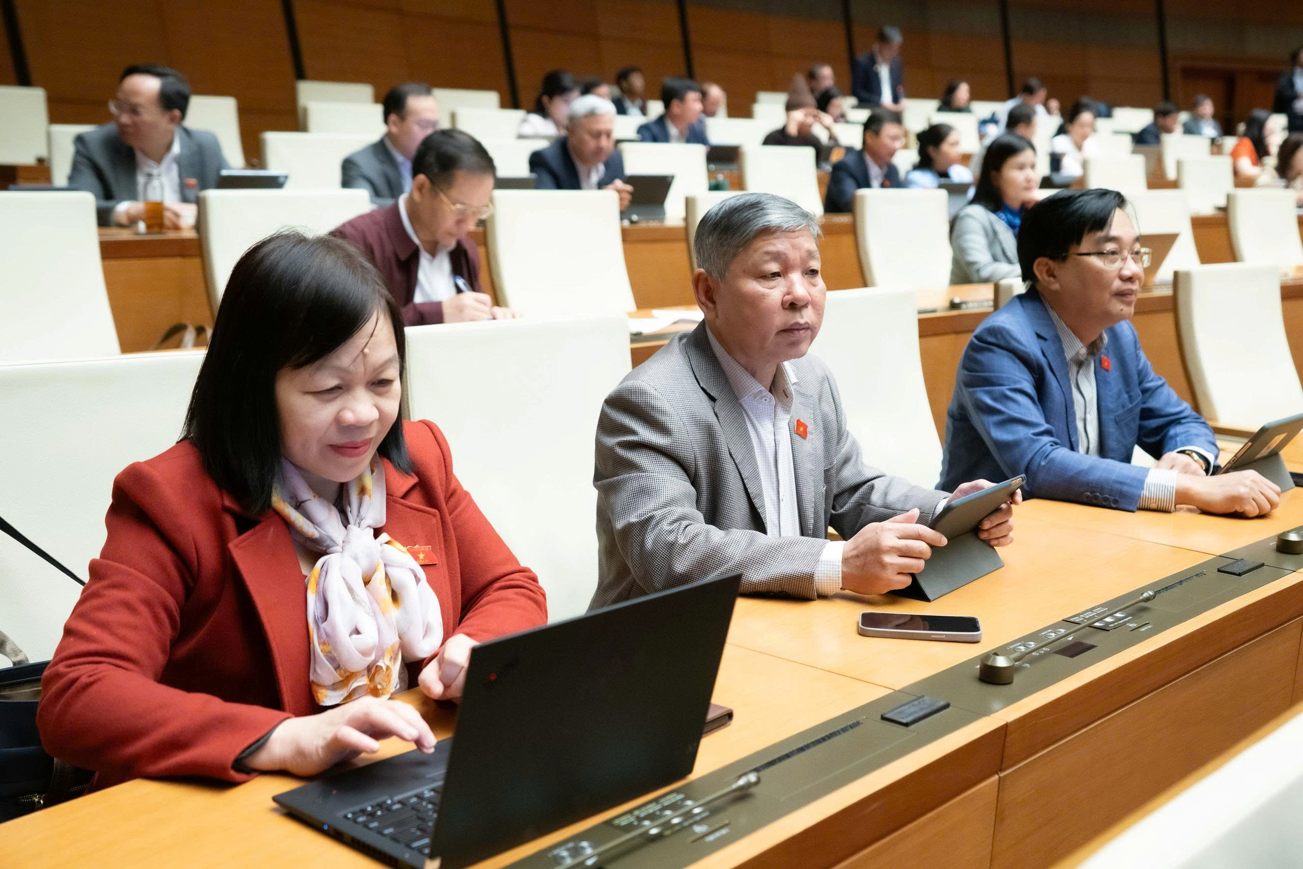 ĐBQH: Tư vấn quy hoạch sai, g&acirc;y thiệt hại phải chịu tr&aacute;ch nhiệm ph&aacute;p l&yacute;, t&agrave;i ch&iacute;nh- Ảnh 2.