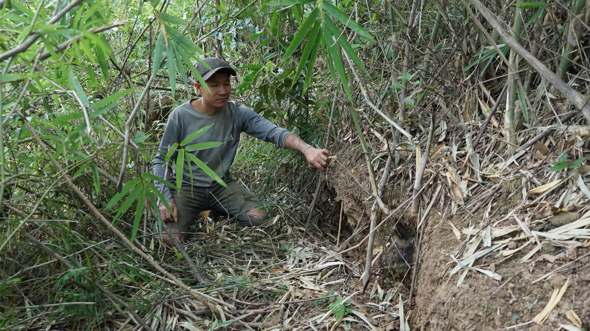 Gia Lai: Vết nứt xuất hiện tr&ecirc;n đồi, ch&iacute;nh quyền chủ động phương &aacute;n bảo vệ khu d&acirc;n cư- Ảnh 4.