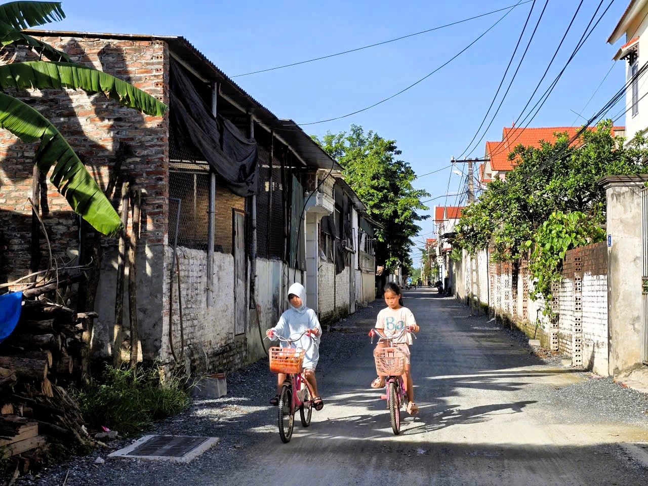 H&agrave; Nội: X&atilde; đảo Minh Ch&acirc;u ph&aacute;t triển m&ocirc; h&igrave;nh n&ocirc;ng nghiệp xanh, gắn với du lịch trải nghiệm- Ảnh 6.
