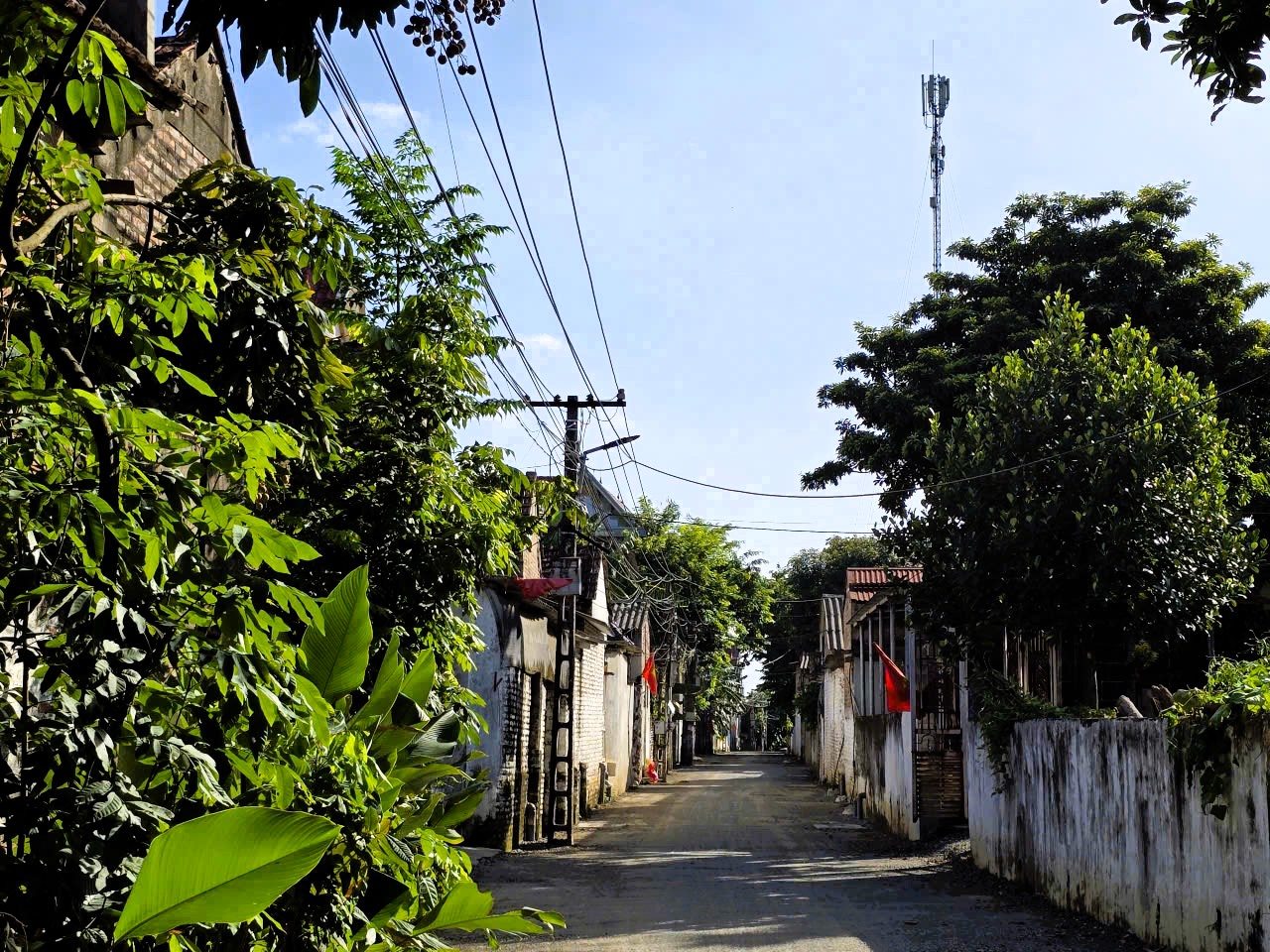 H&agrave; Nội: X&atilde; đảo Minh Ch&acirc;u ph&aacute;t triển m&ocirc; h&igrave;nh n&ocirc;ng nghiệp xanh, gắn với du lịch trải nghiệm- Ảnh 5.