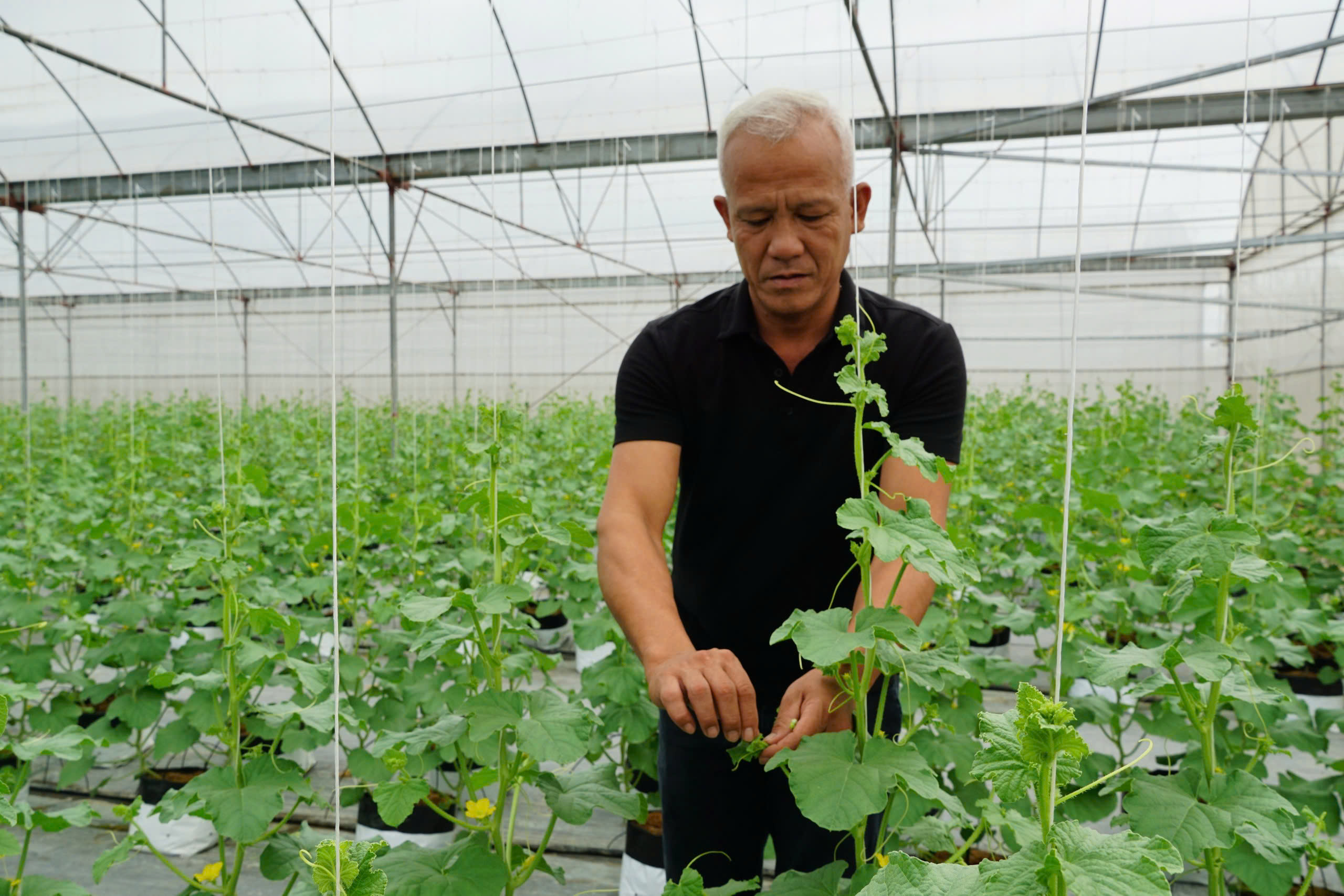 Hưng Yên: Đa dạng sản phẩm OCOP tạo cơ hội bứt phá phát triển nông thôn mới- Ảnh 1. Hưng Yên: Đa dạng sản phẩm OCOP tạo cơ hội bứt phá phát triển nông thôn mới- Ảnh 1.